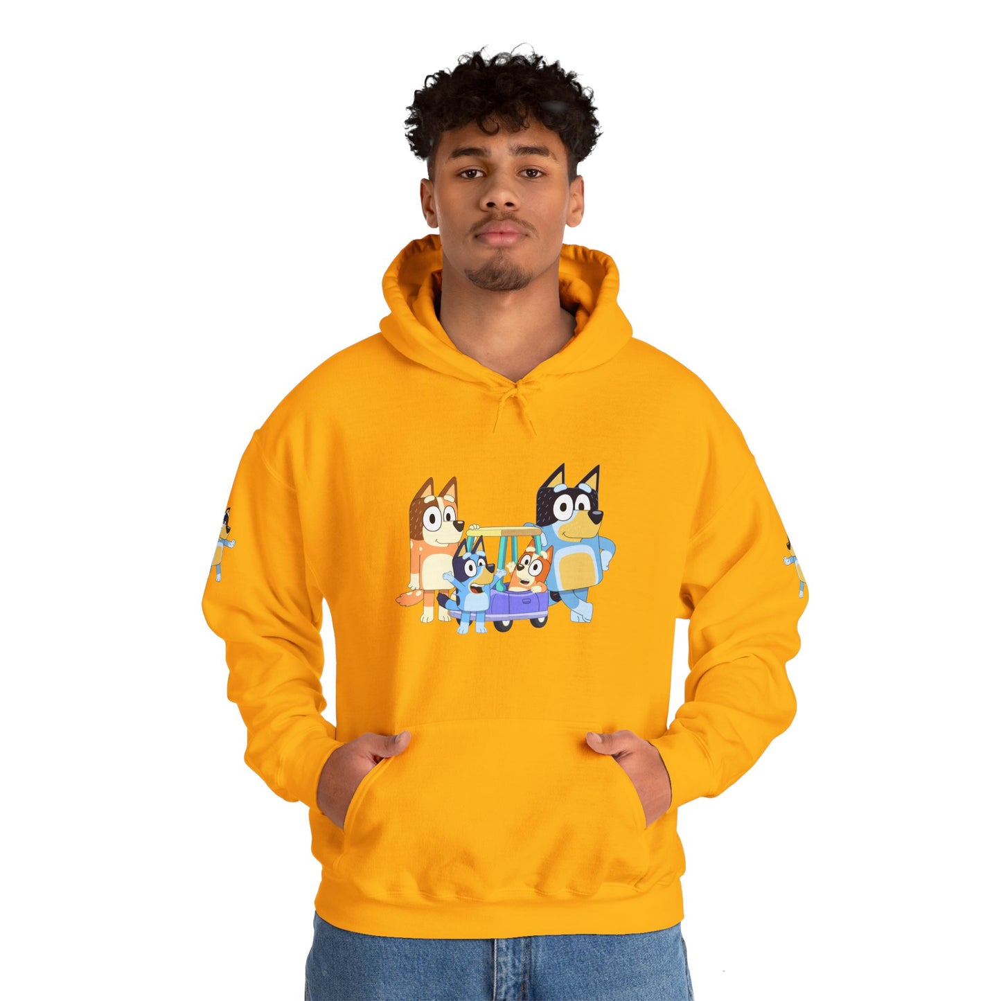 Princess Grace Bluey Fun Family Cartoon Hoodie - Unisex Heavy Blend with Playful Characters