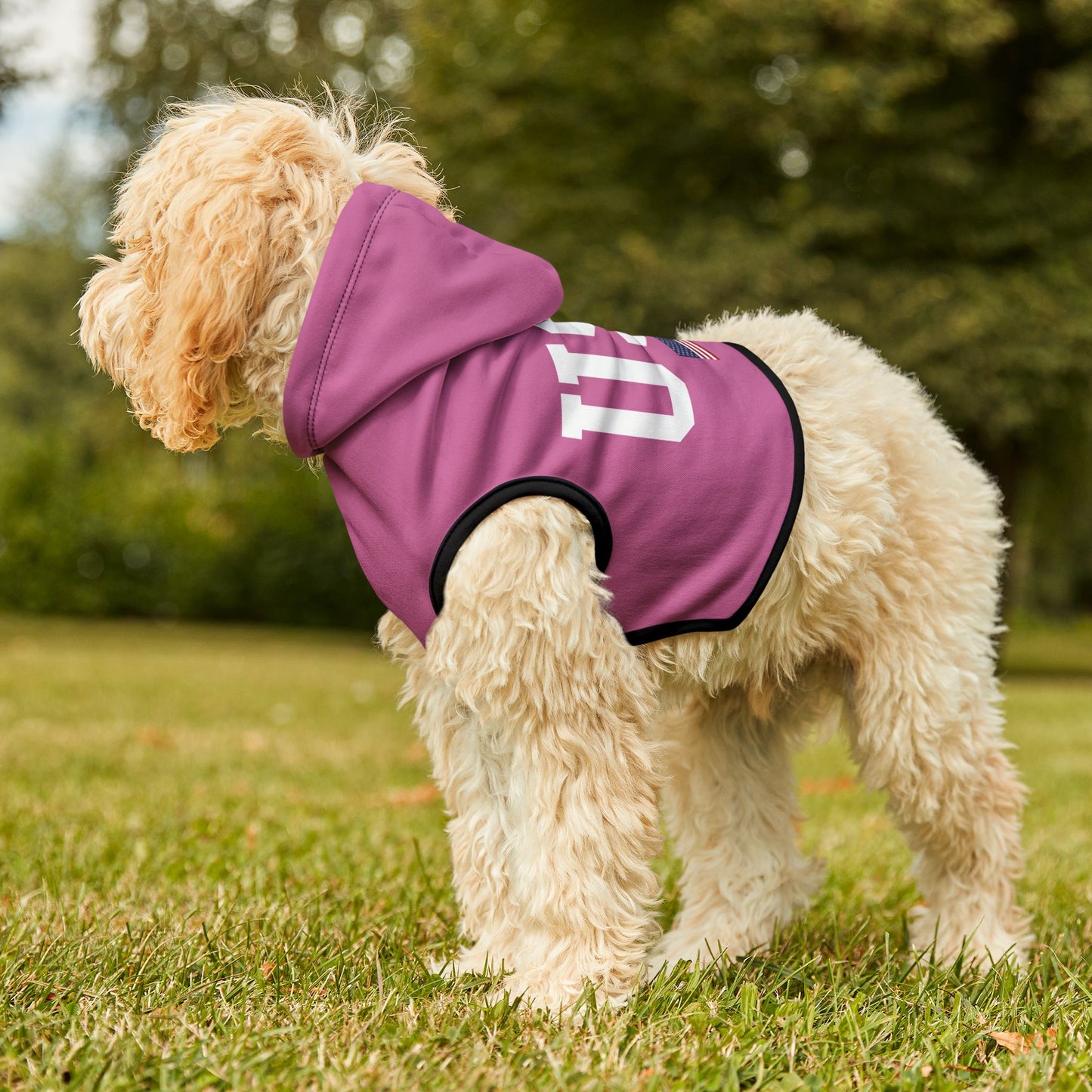 Princess Grace TEAM USA Pet Hoodie