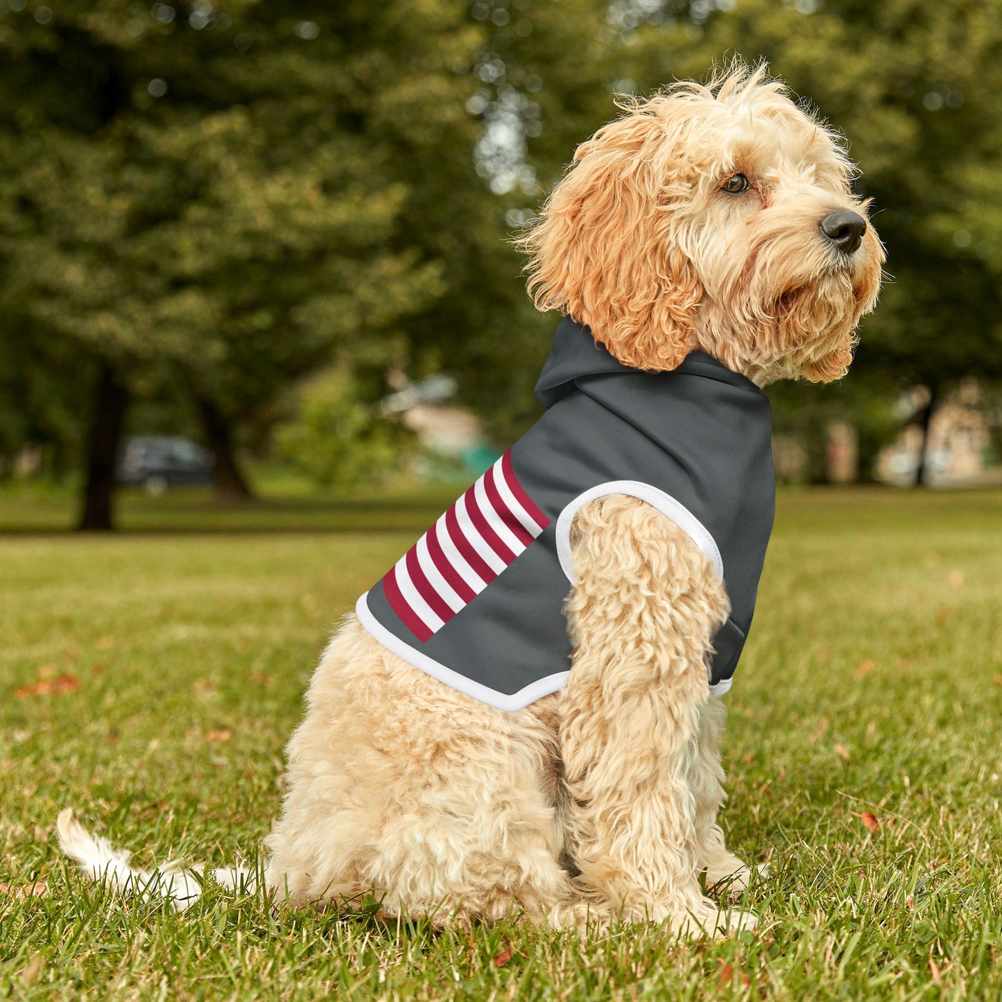 Princess Grace Patriotic Pet Hoodie Cozy American Flag Design for Stylish Dogs