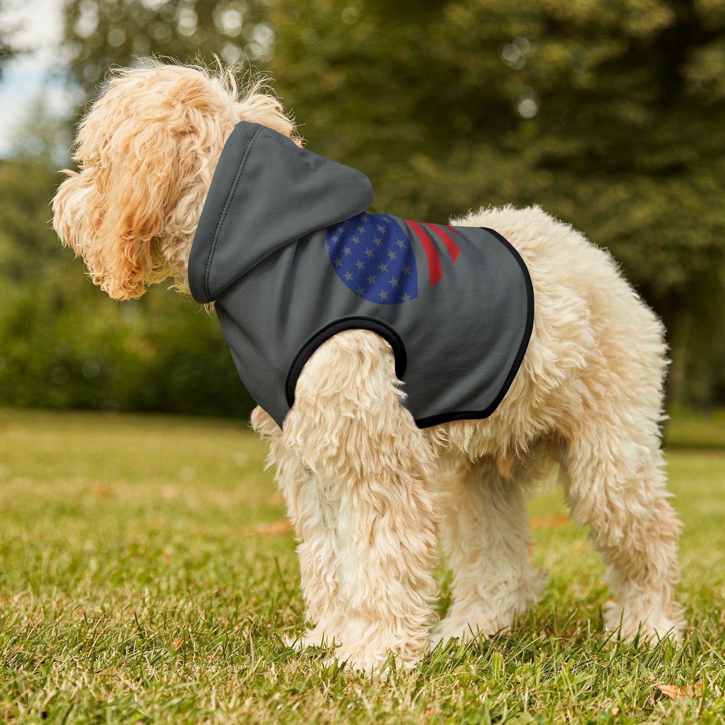 Princess Grace Patriotic Pet Hoodie with Heart Design