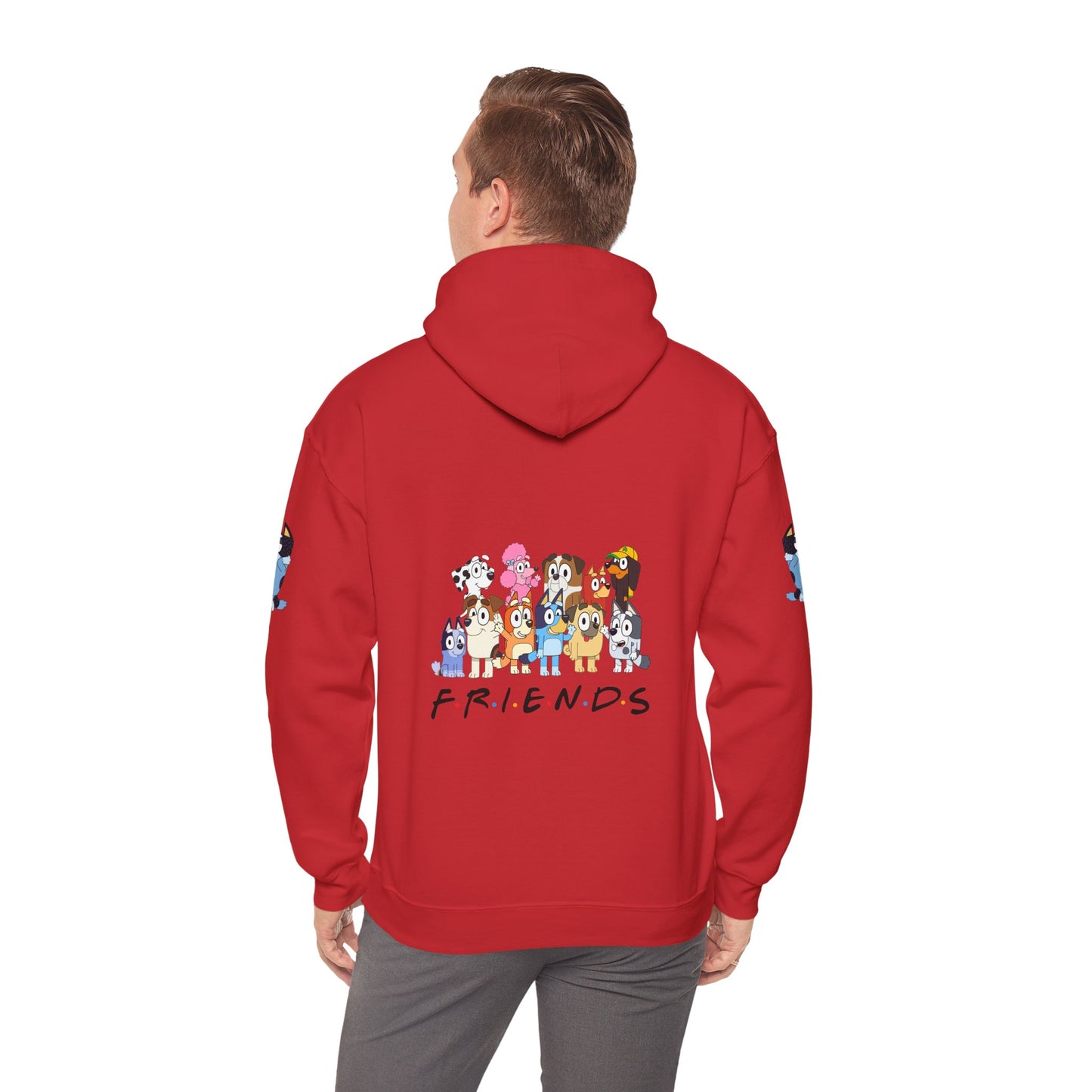 Princess Grace Bluey Unisex Heavy Blend Hooded Sweatshirt 'Friends' Cartoon Design