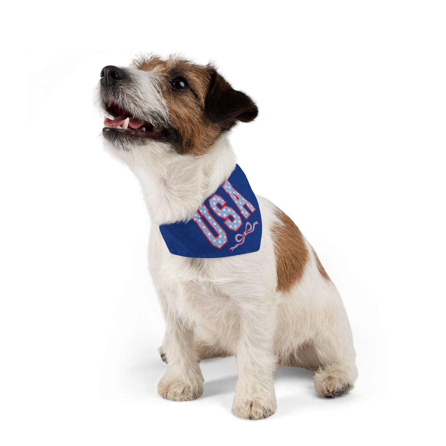 Princess Grace USA Patriotic Pet Bandana Collar for Dogs Perfect for Holidays and Celebrations