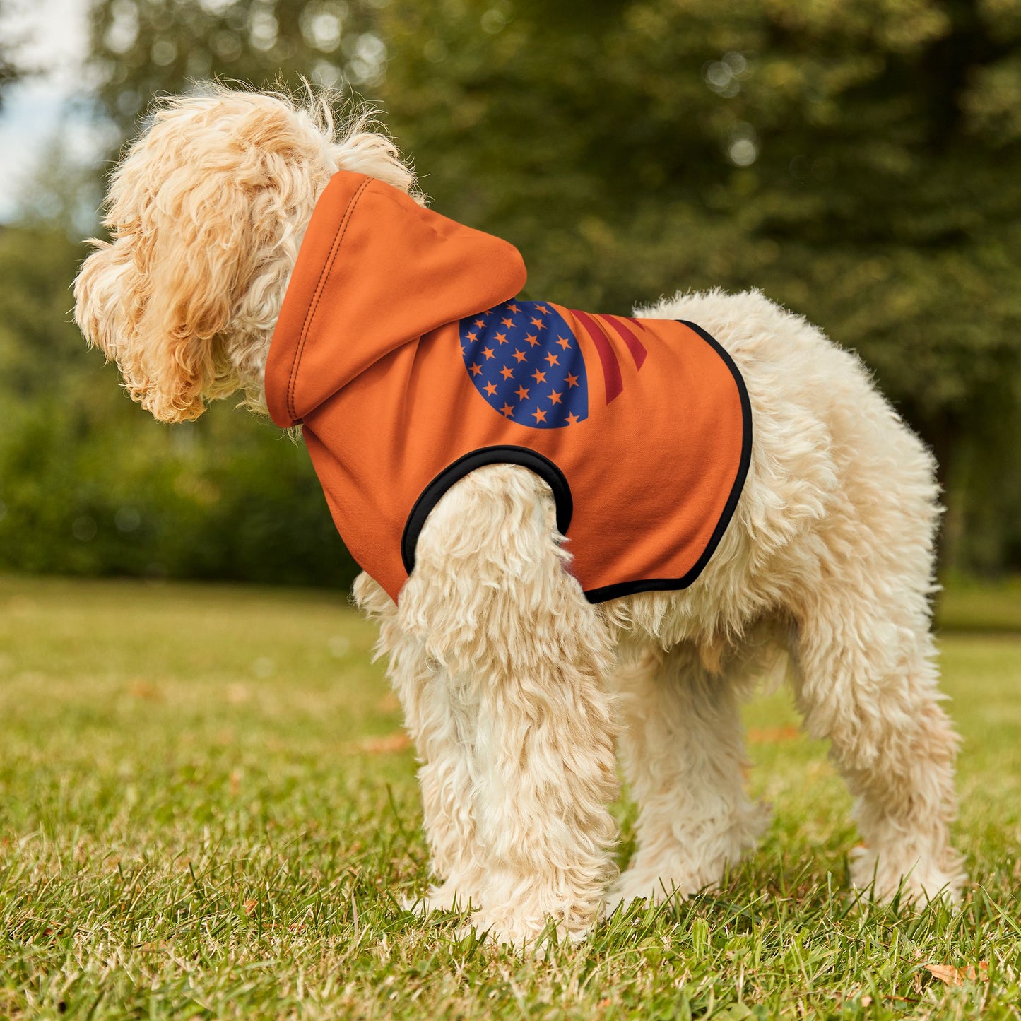 Princess Grace Patriotic Pet Hoodie USA Flag Heart Design for Stylish Dogs