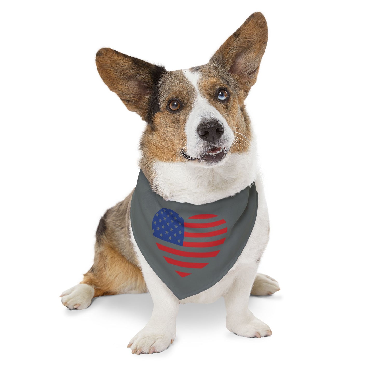 Princess Grace Patriotic Dog Bandana Collar Heart USA Design