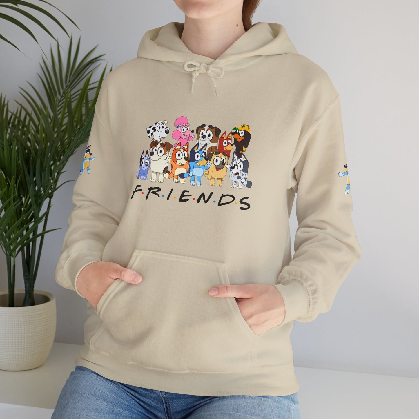 Princess Grace Bluey Unisex Heavy Blend Hooded Sweatshirt 'Friends' Cartoon Design