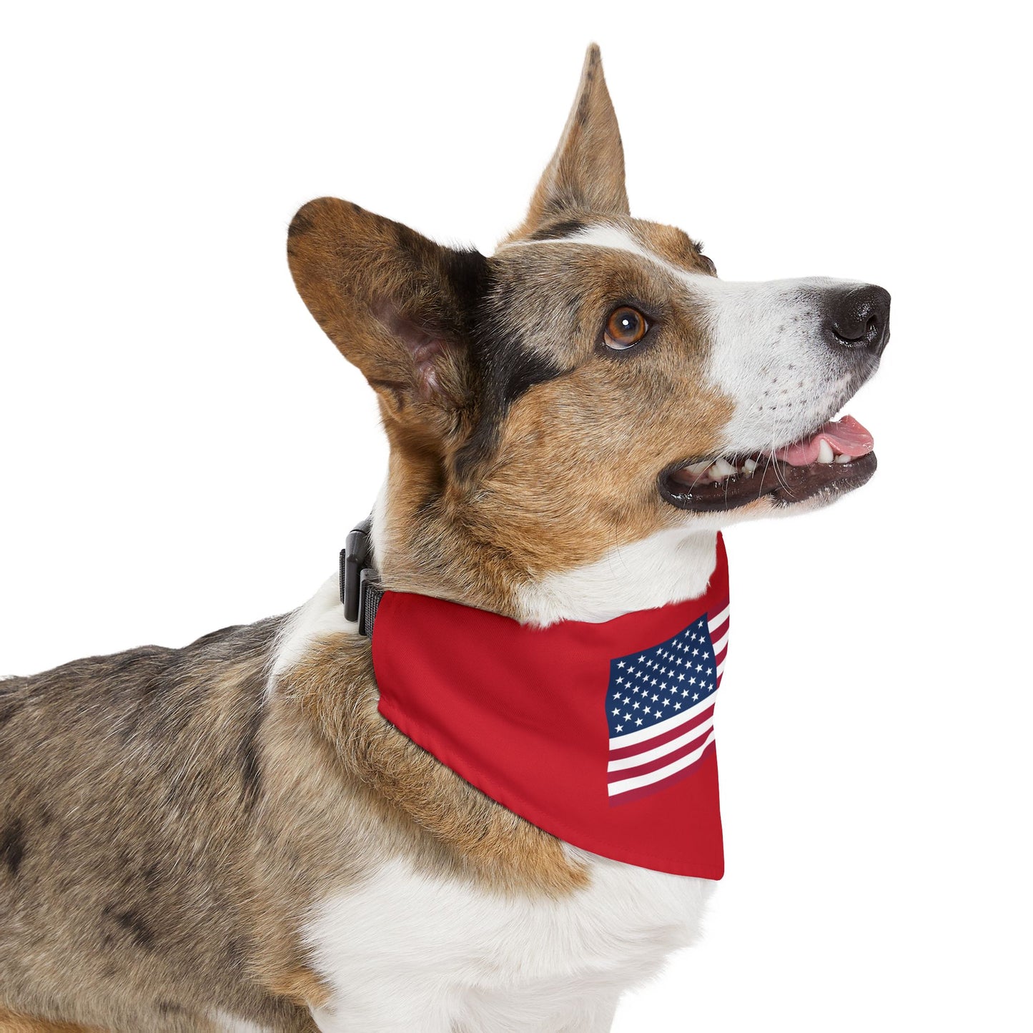 Princess Grace Patriotic Pet Bandana Collar USA Flag Design