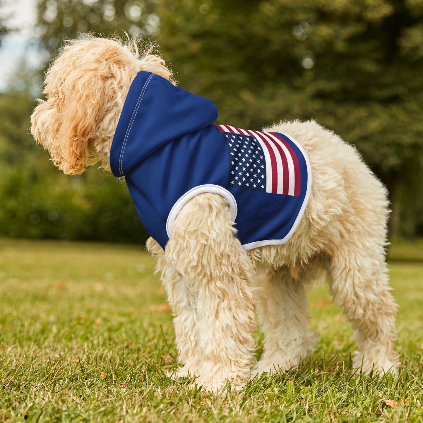 Princess Grace Patriotic Pet Hoodie with American Flag Design
