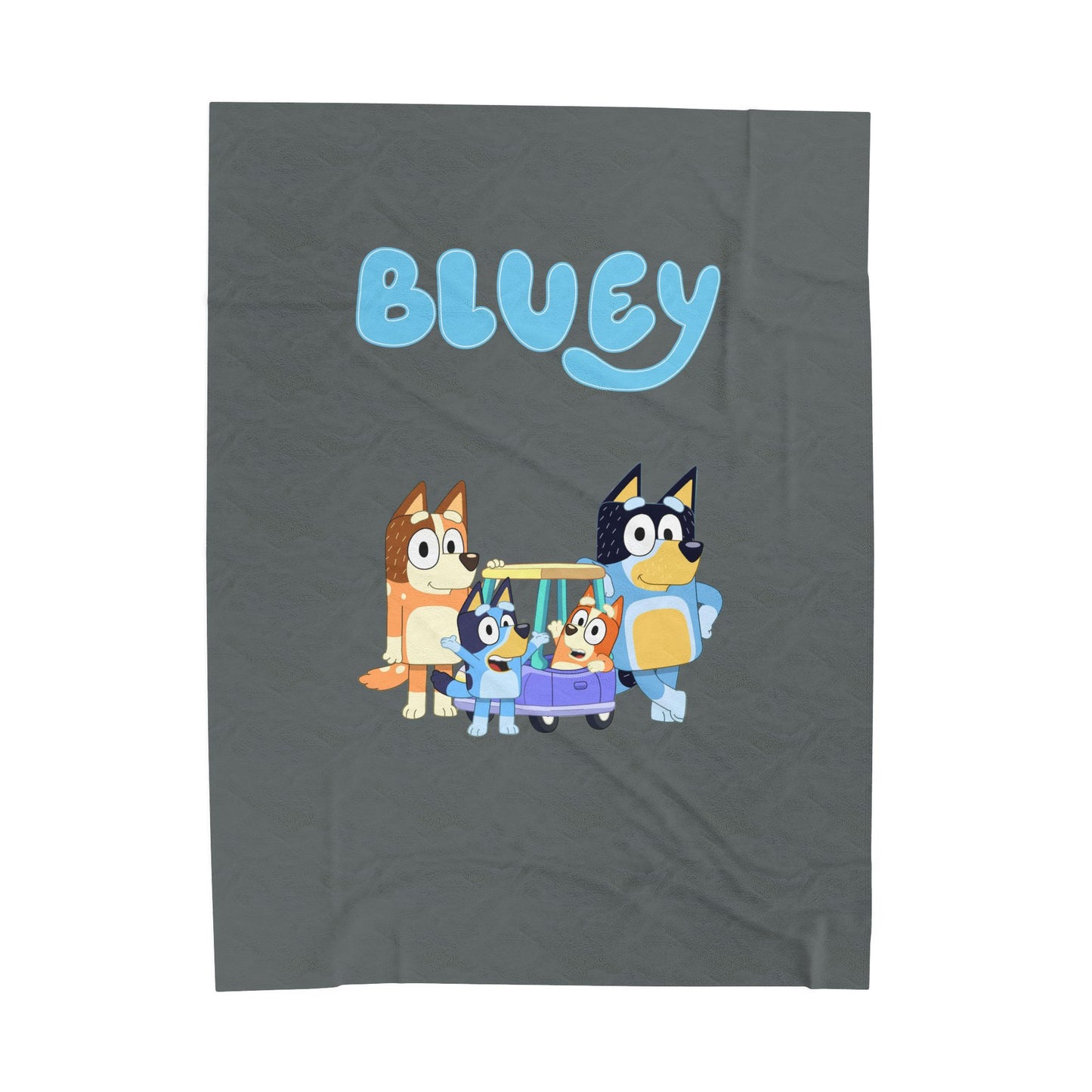 Princess Grace Bluey Velveteen Plush Blanket for Kids Cozy & Fun Throw for Blanket Forts and Storytime