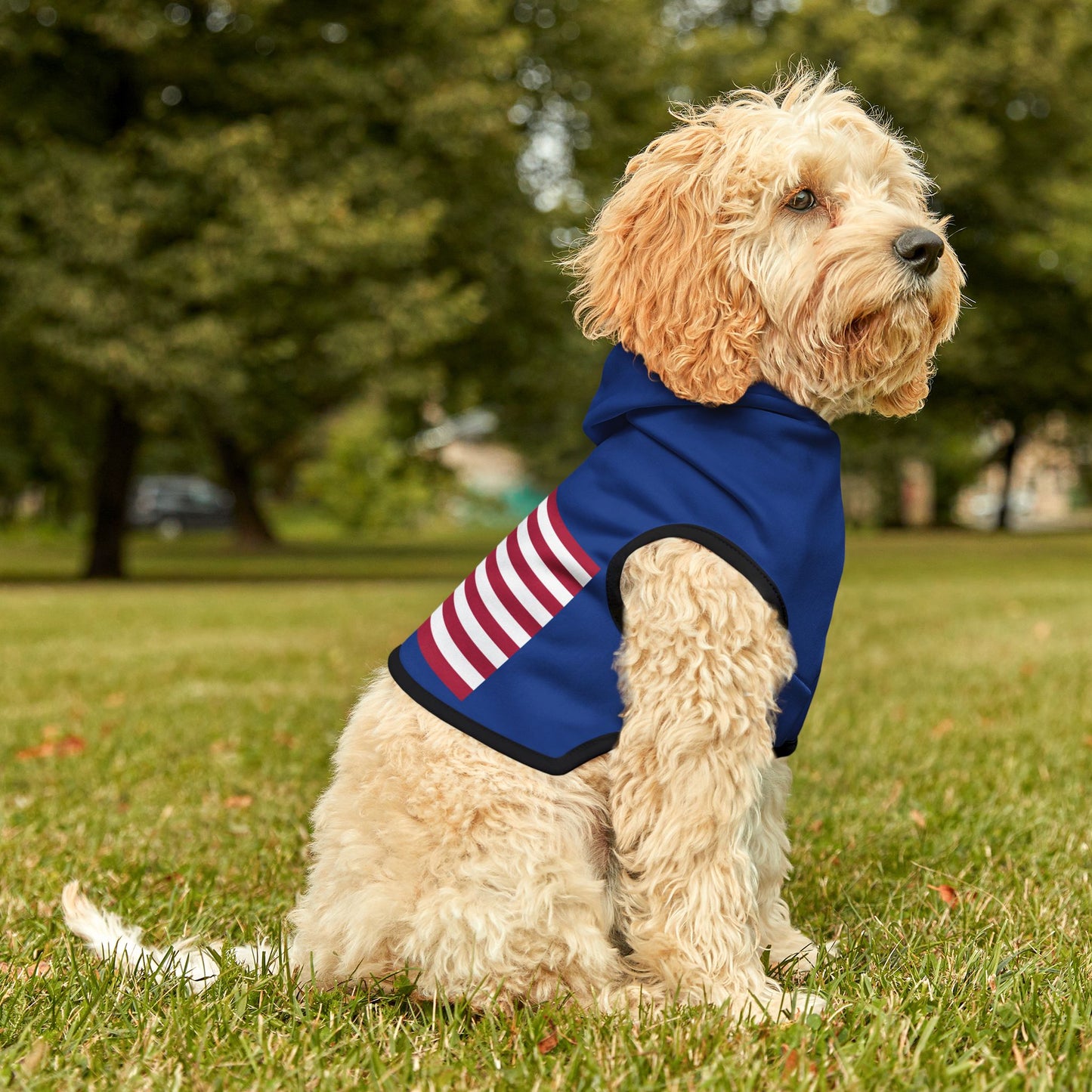 Princess Grace Patriotic Pet Hoodie with American Flag Design