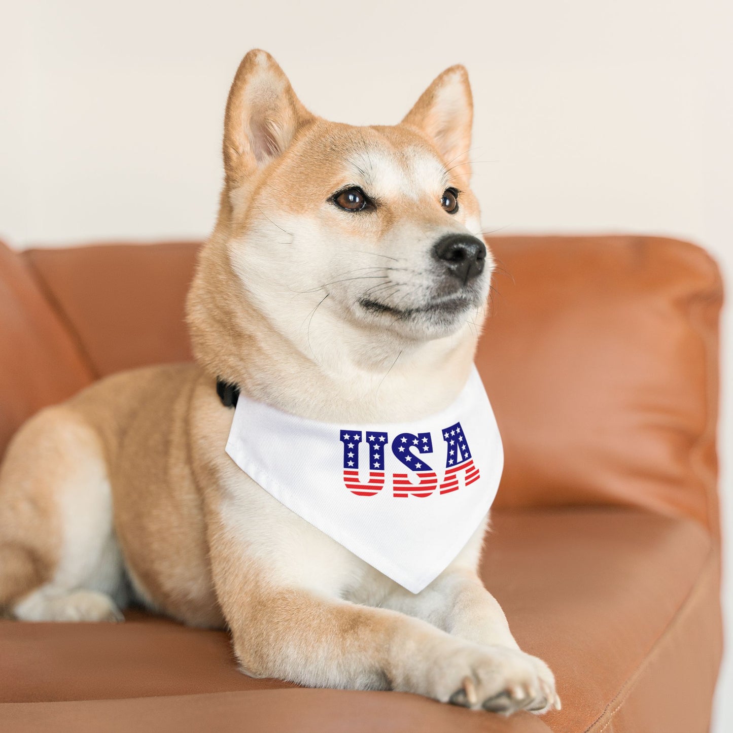 Princess Grace USA Flag Pet Bandana Collar Patriotic Dog Accessory for Celebrations