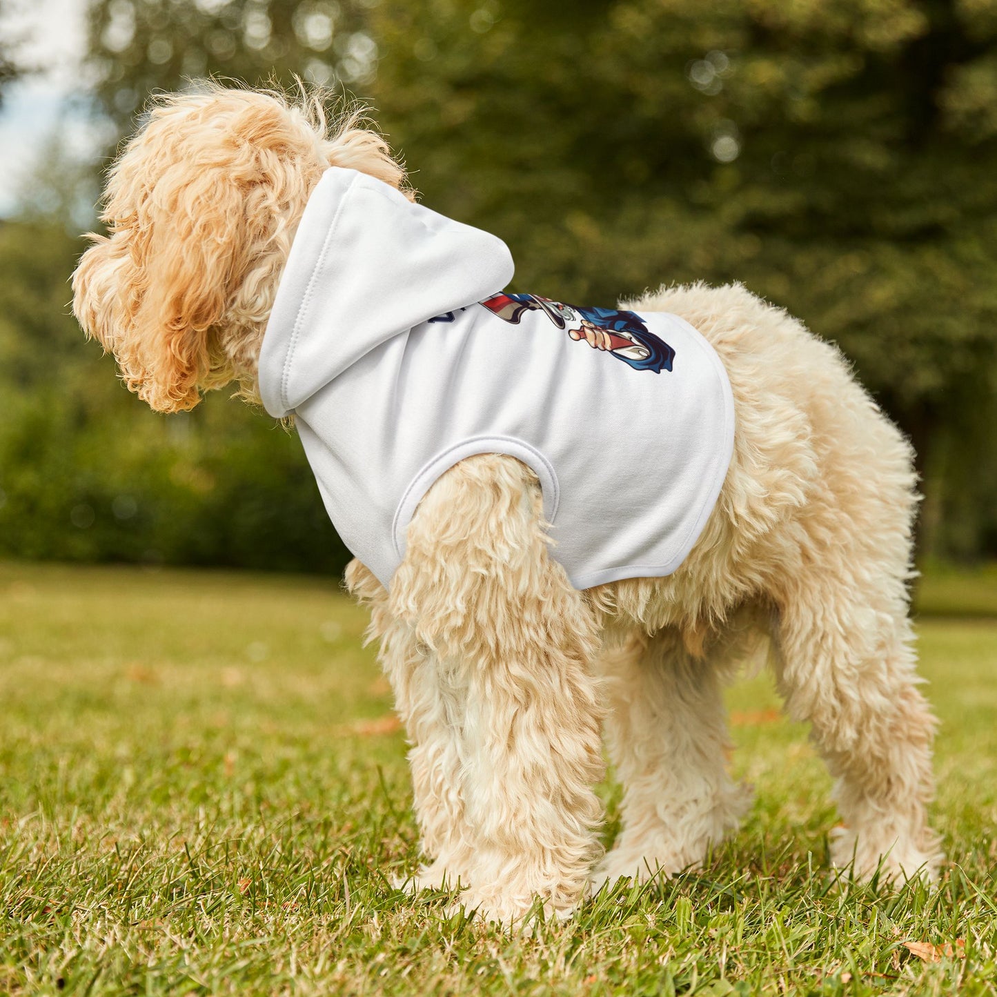 Princess Grace TEAM USA Pet Hoodie