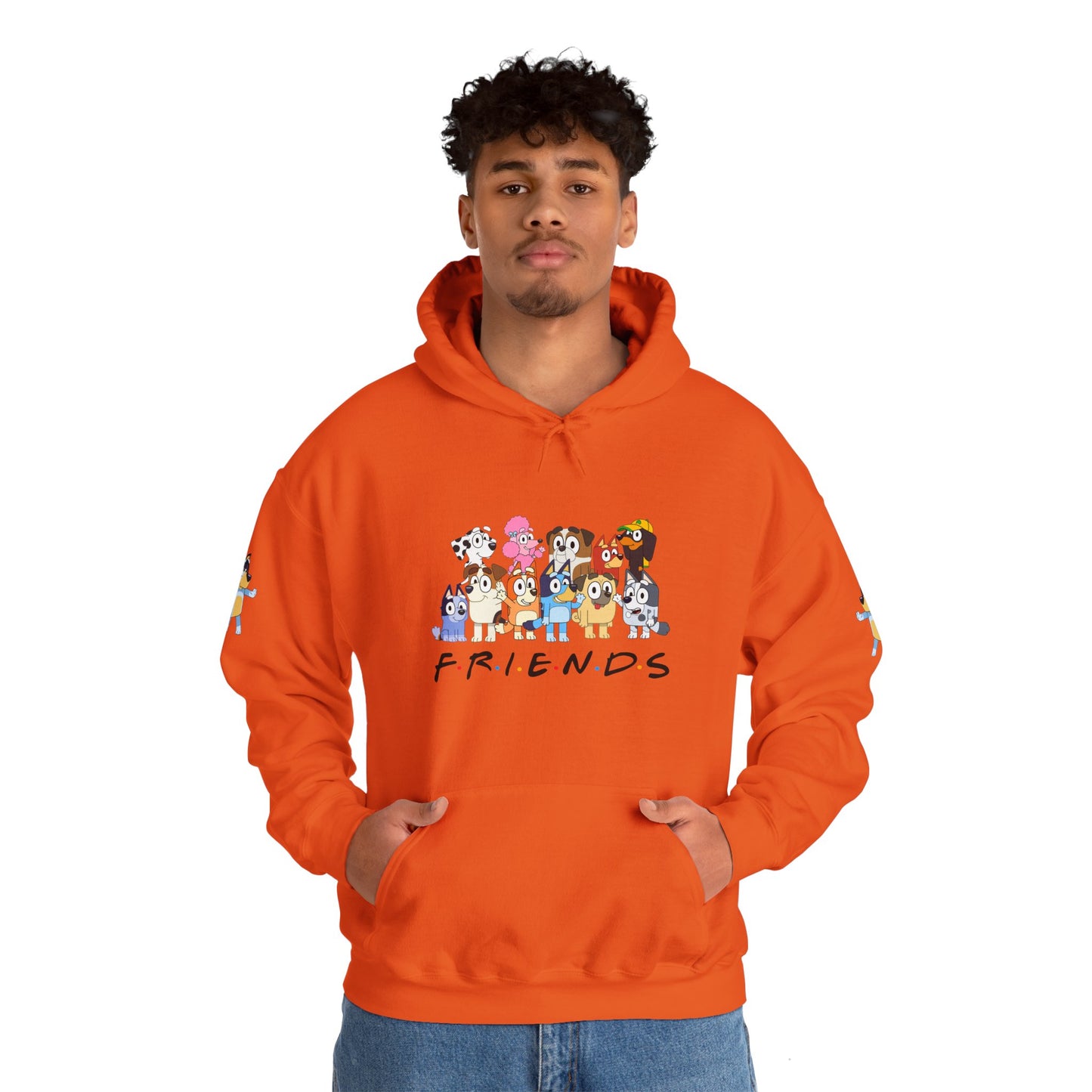 Princess Grace Bluey Unisex Heavy Blend Hooded Sweatshirt 'Friends' Cartoon Design
