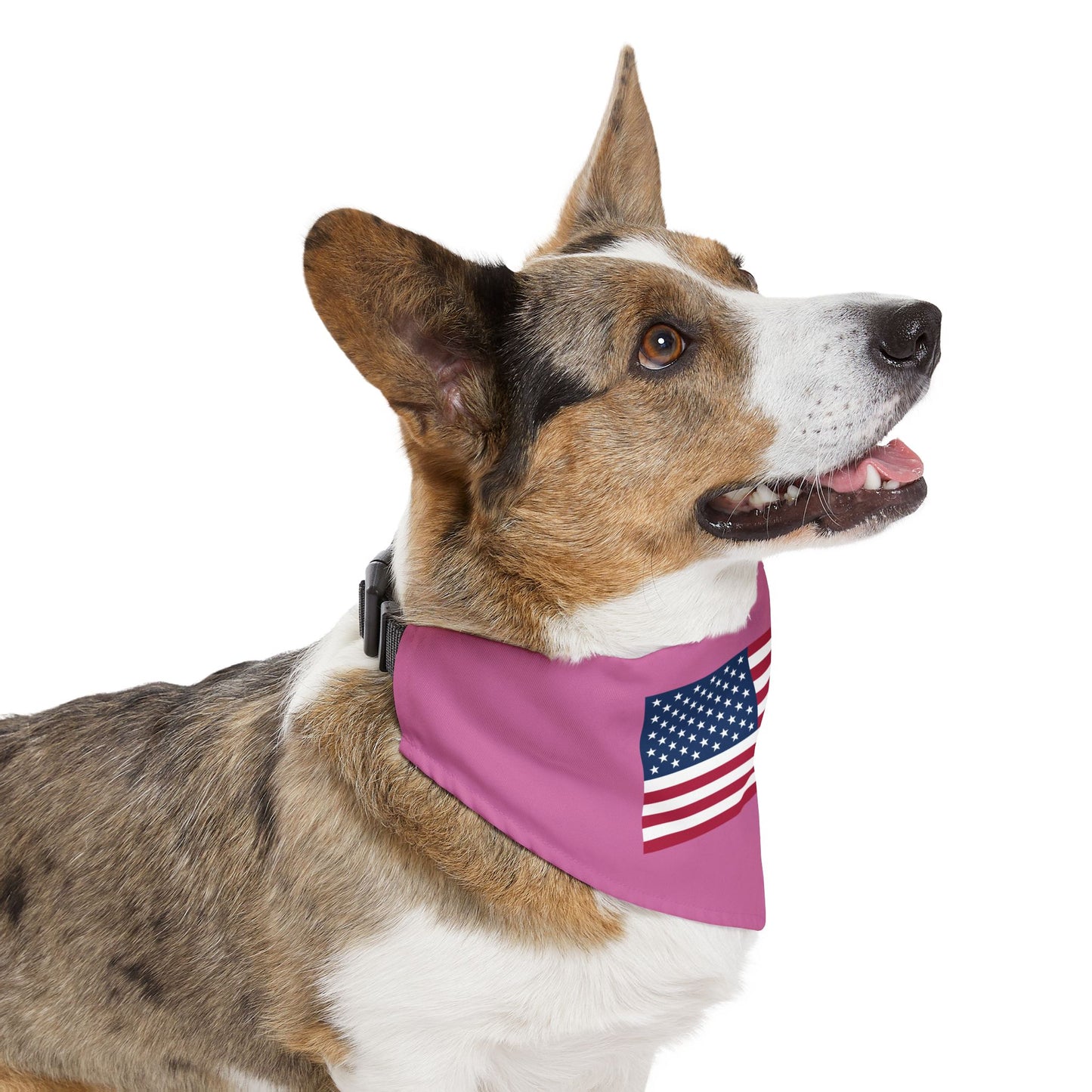 Princess Grace Patriotic Pet Bandana Collar USA Flag Design for Dogs
