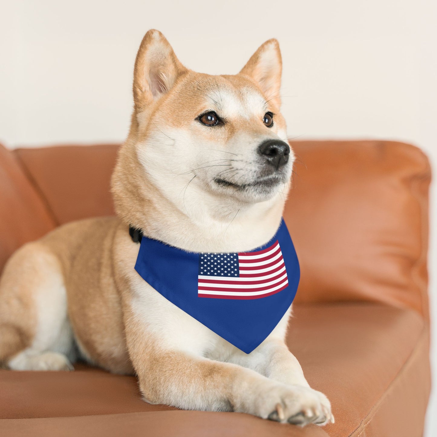 Princess Grace Patriotic Pet Bandana Collar American Flag Design for Dogs