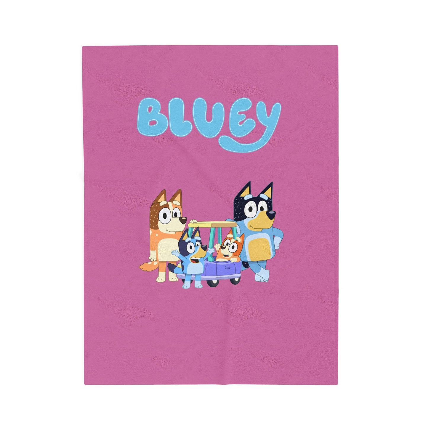 Princess Grace Bluey Velveteen Plush Blanket Cozy for Kids Rooms