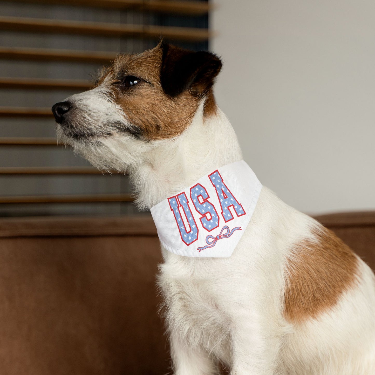 Princess Grace USA Patriotic Pet Bandana Collar for Dogs