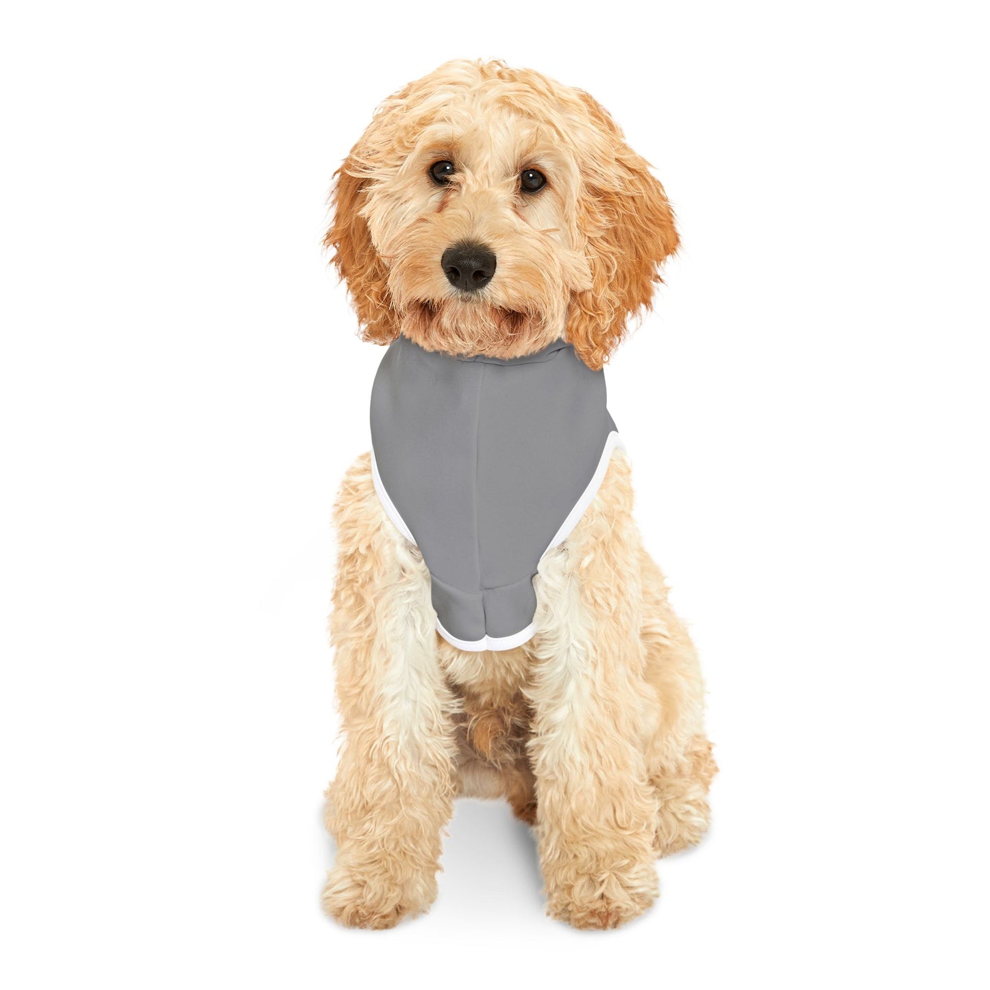 Princess Grace Patriotic Pet Hoodie