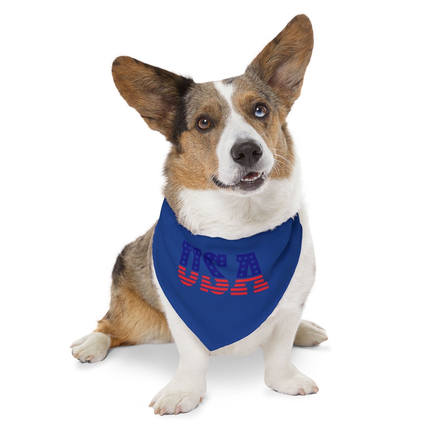 Princess Grace Patriotic Pet Bandana Collar USA Design for Dogs