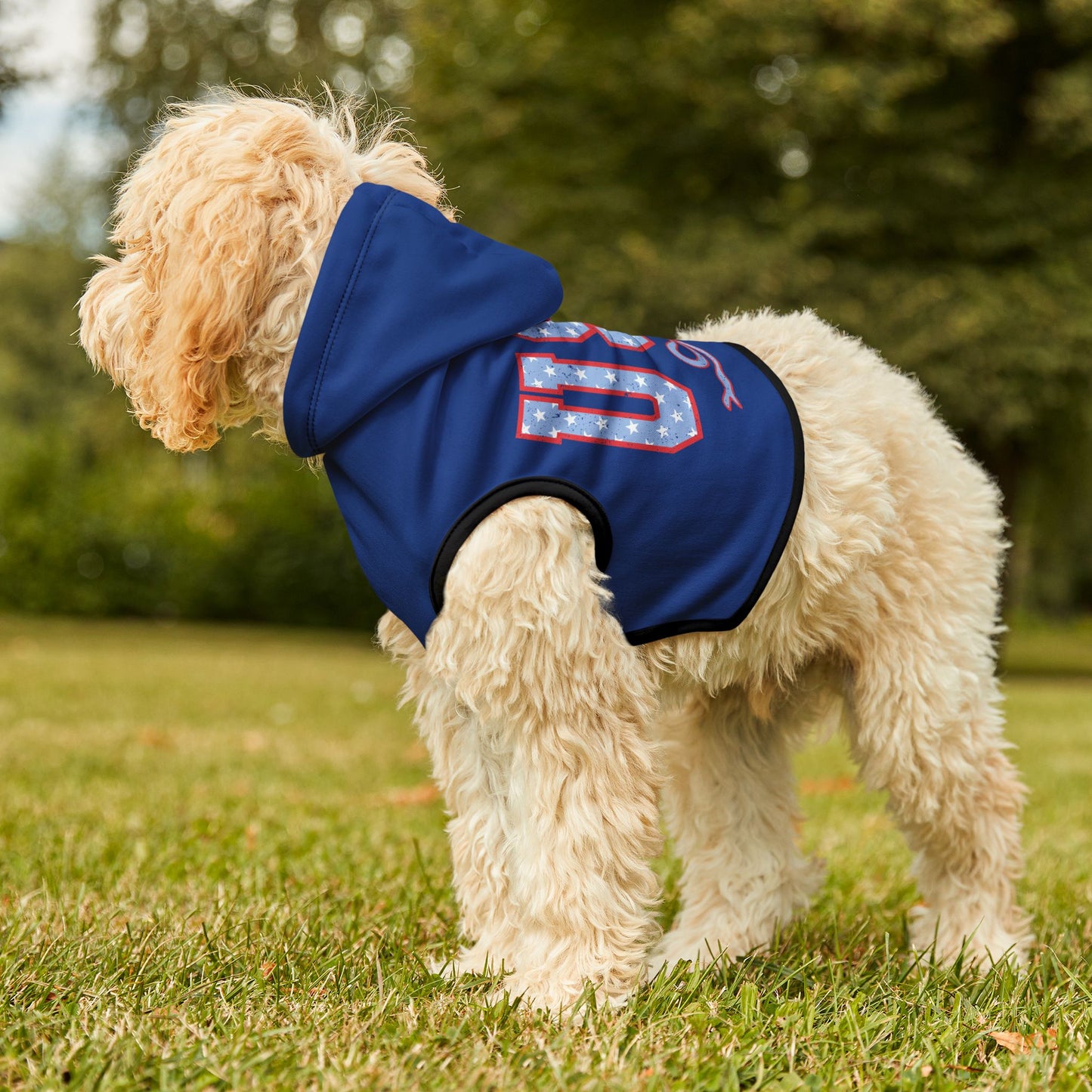 Princess Grace USA Themed Pet Hoodie Perfect for Celebrations and Patriotic Occasions