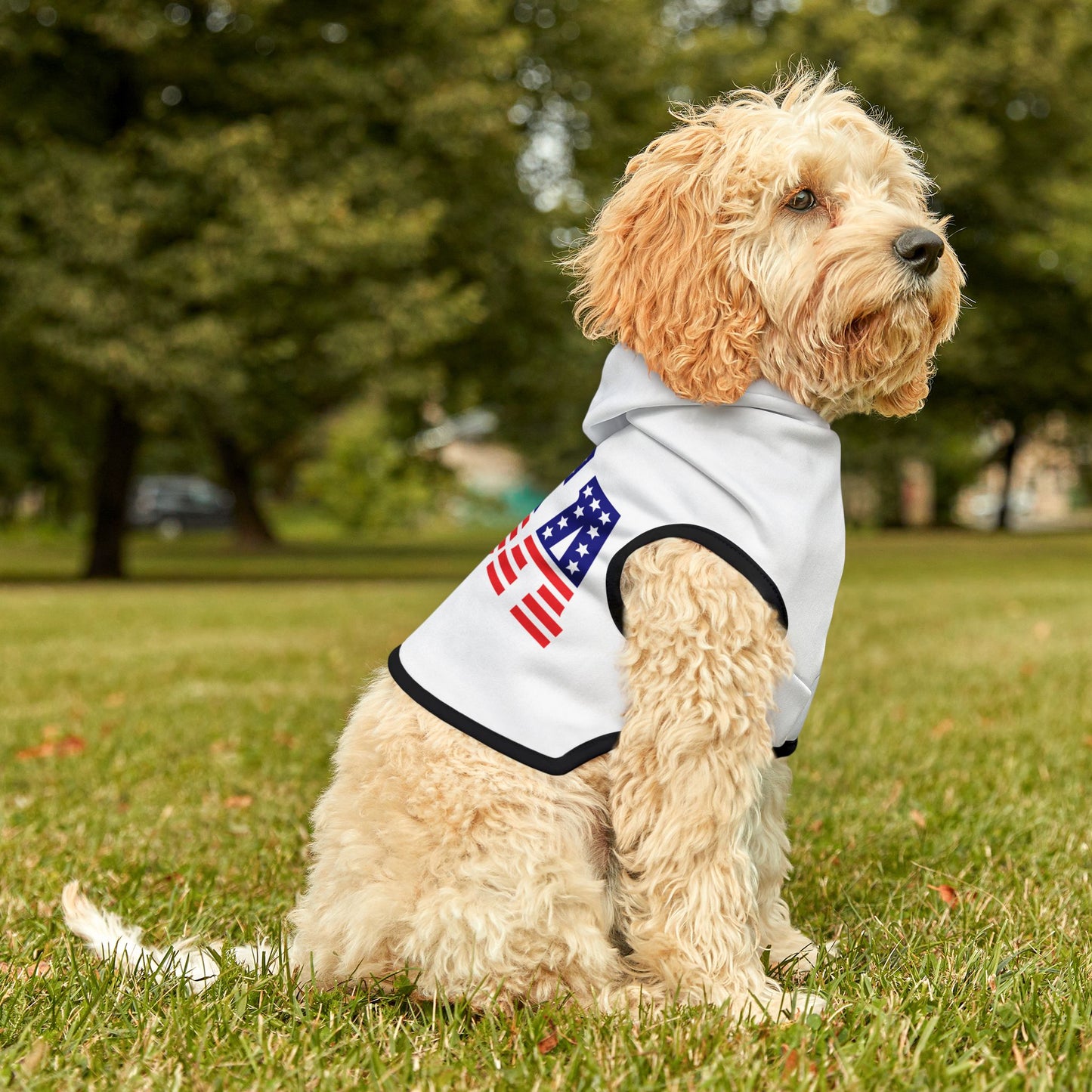 Princess Grace USA Flag Pet Hoodie Cozy Dog Apparel for Patriotic Pets