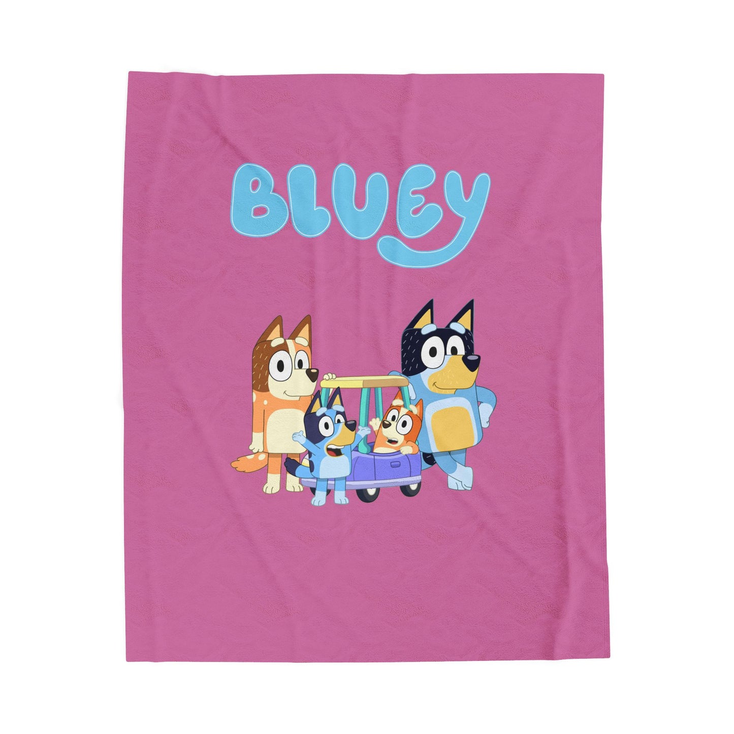 Princess Grace Bluey Velveteen Plush Blanket Cozy for Kids Rooms