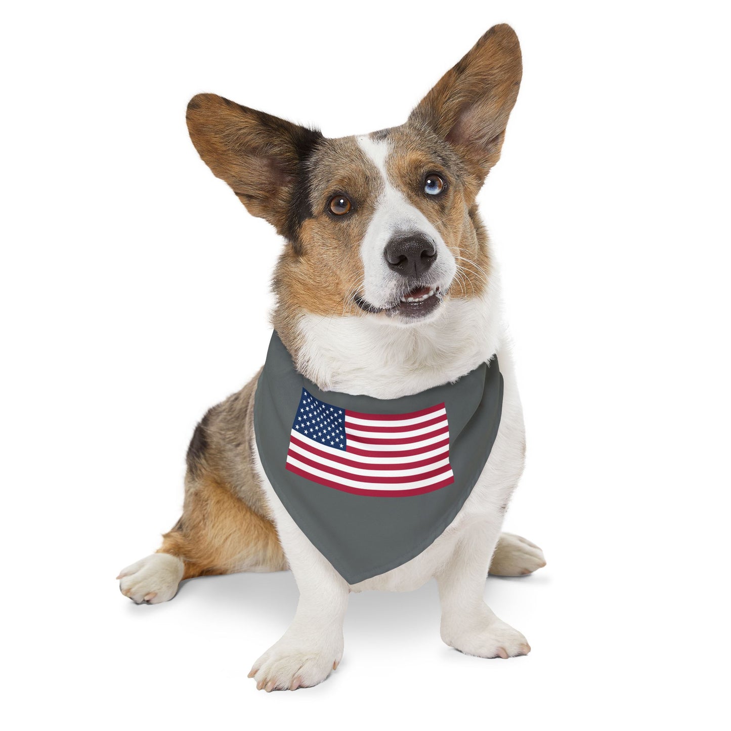 Princess Grace Patriotic Dog Bandana Collar USA Flag Design