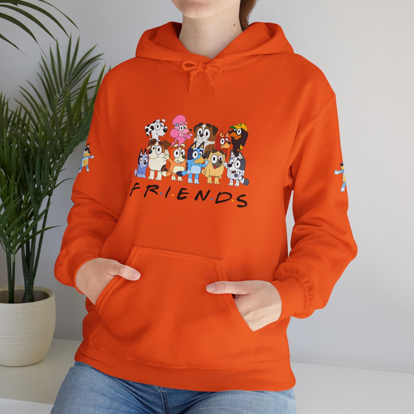 Princess Grace Bluey Unisex Heavy Blend Hooded Sweatshirt 'Friends' Cartoon Design