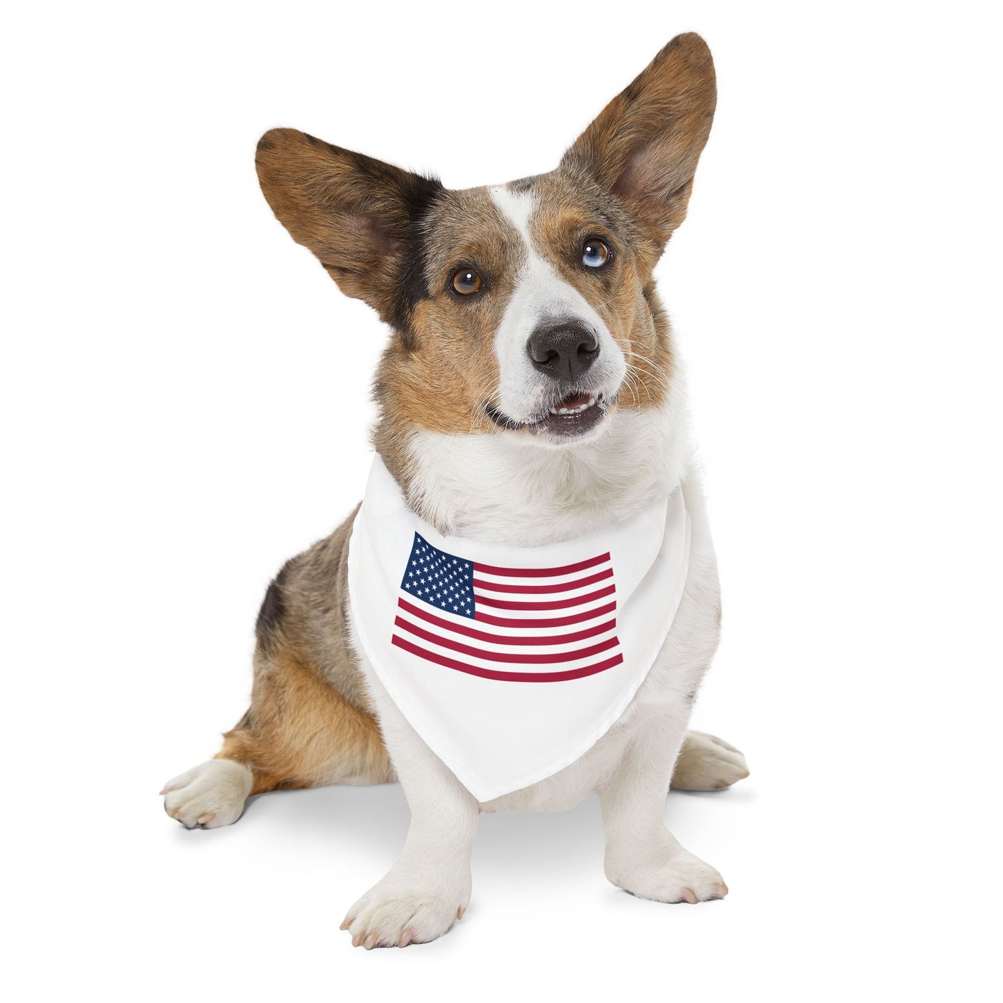 Princess Grace Patriotic Pet Bandana Collar USA Flag Design for Dogs