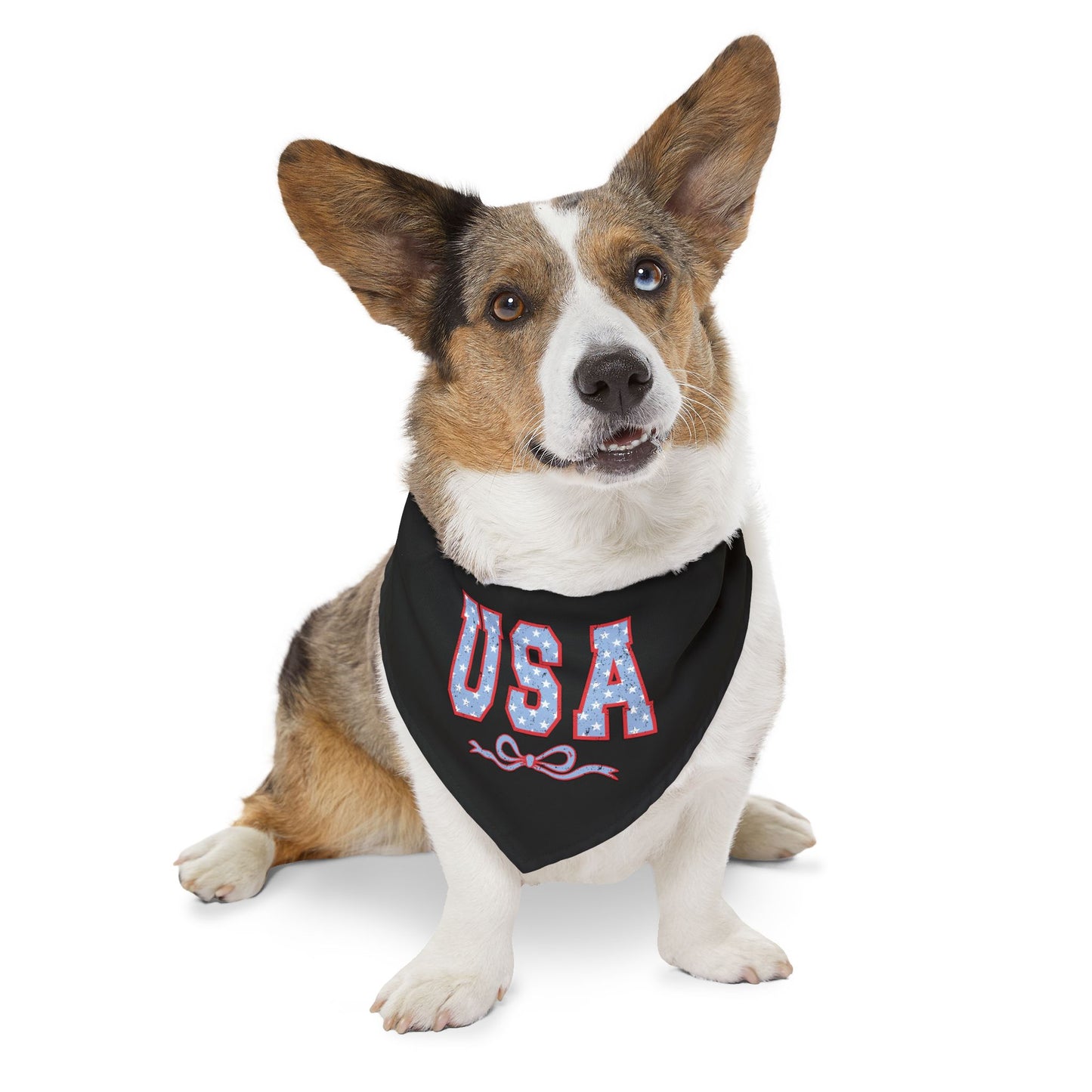 Princess Grace USA Pet Bandana Collar Patriotic Dog Accessory for Independence Day