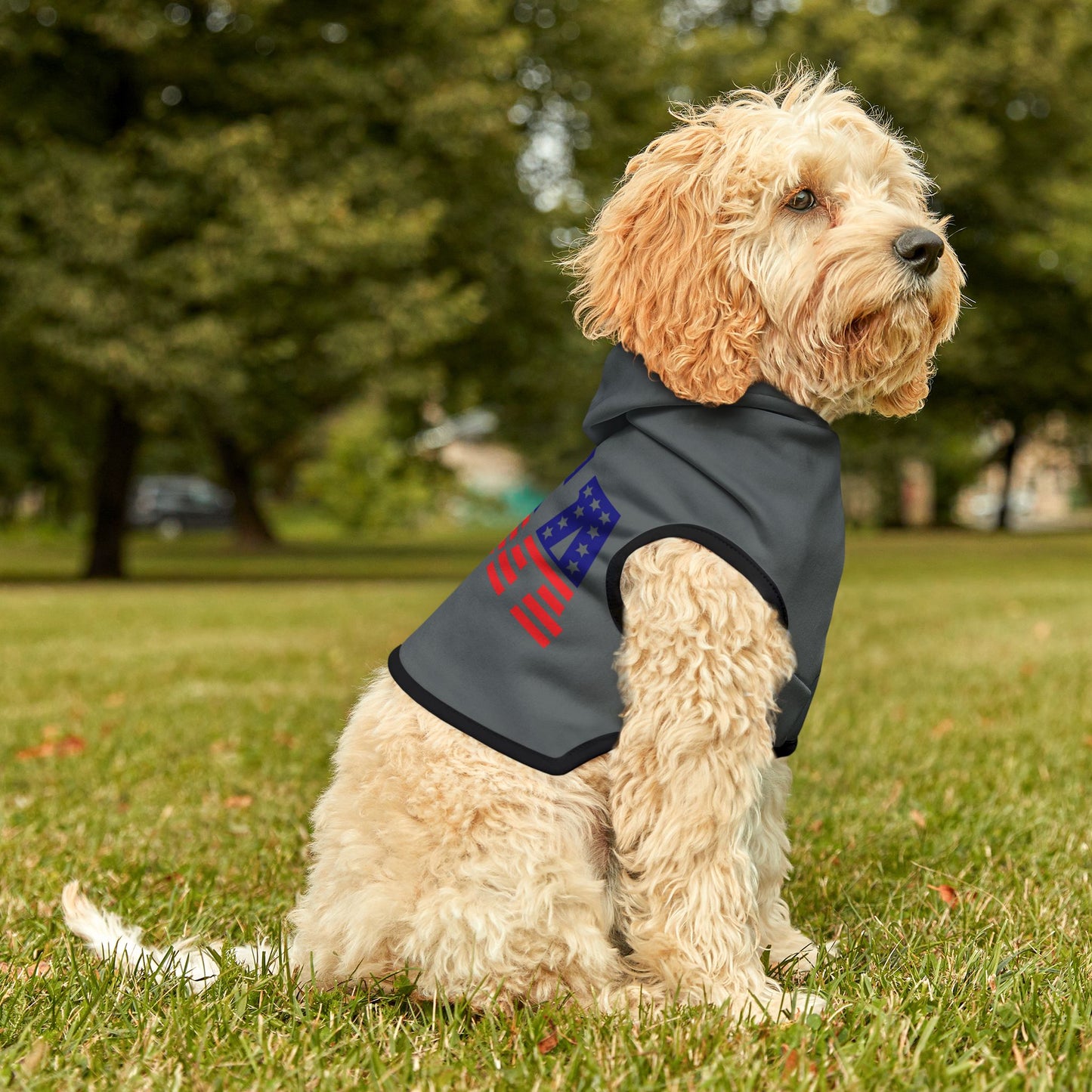 Princess Grace USA Flag Pet Hoodie Stylish and Cozy Dog Apparel for Patriotic Pets