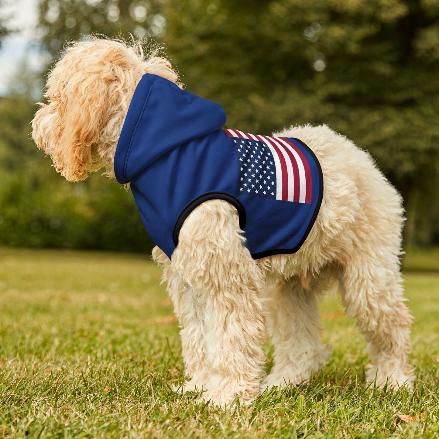 Princess Grace Patriotic Pet Hoodie with American Flag Design