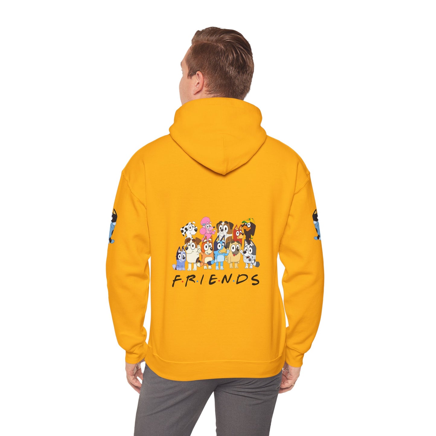 Princess Grace Bluey Unisex Heavy Blend Hooded Sweatshirt 'Friends' Cartoon Design