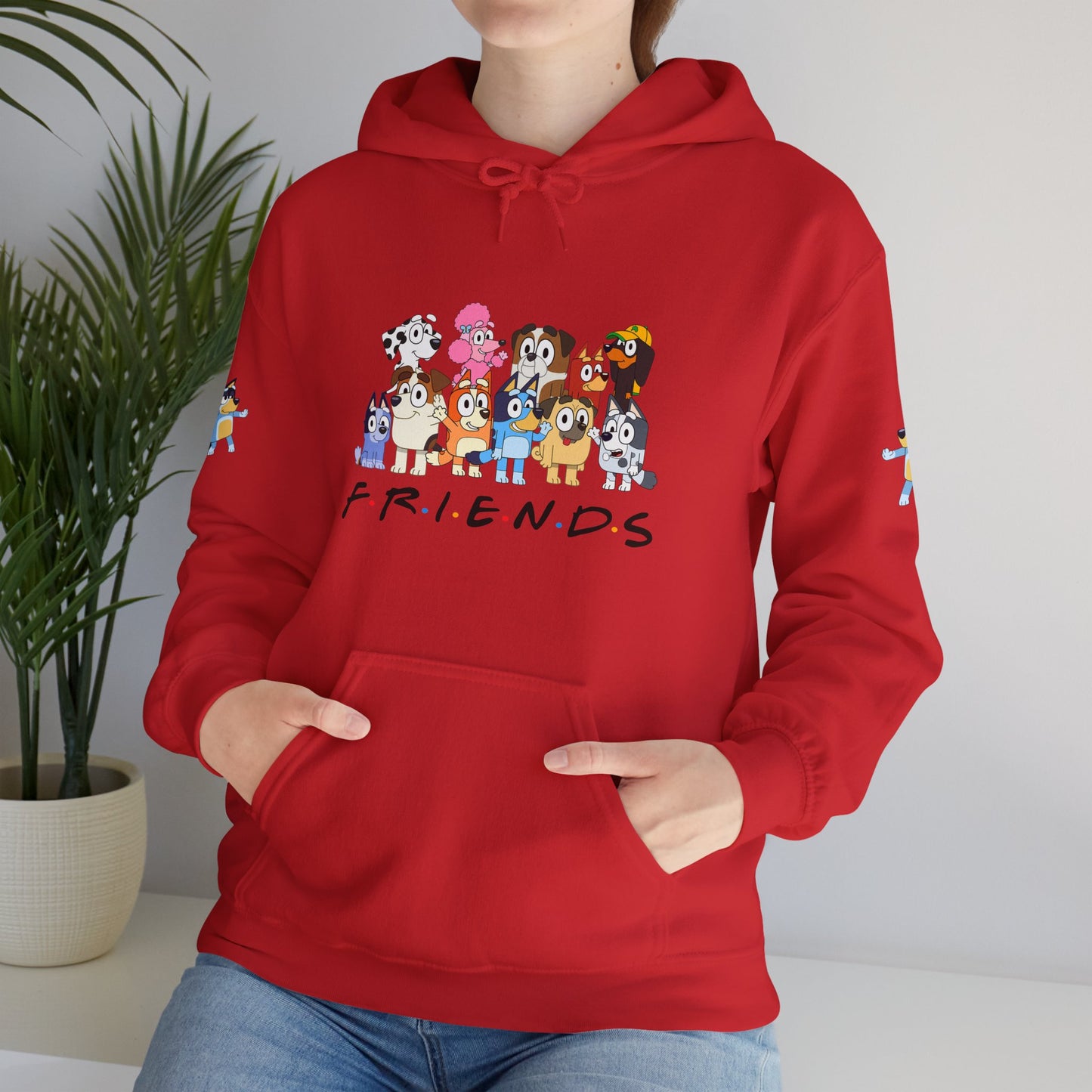 Princess Grace Bluey Unisex Heavy Blend Hooded Sweatshirt 'Friends' Cartoon Design