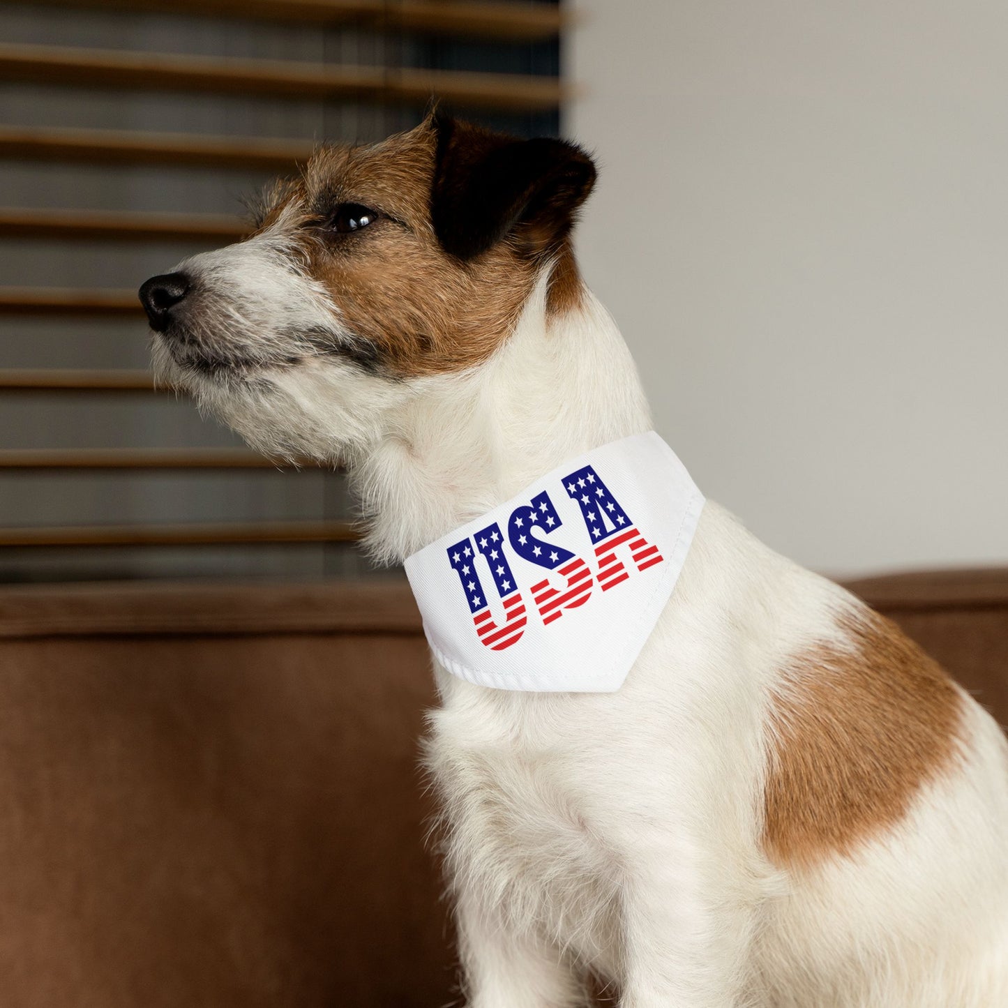 Princess Grace USA Flag Pet Bandana Collar Patriotic Dog Accessory for Celebrations