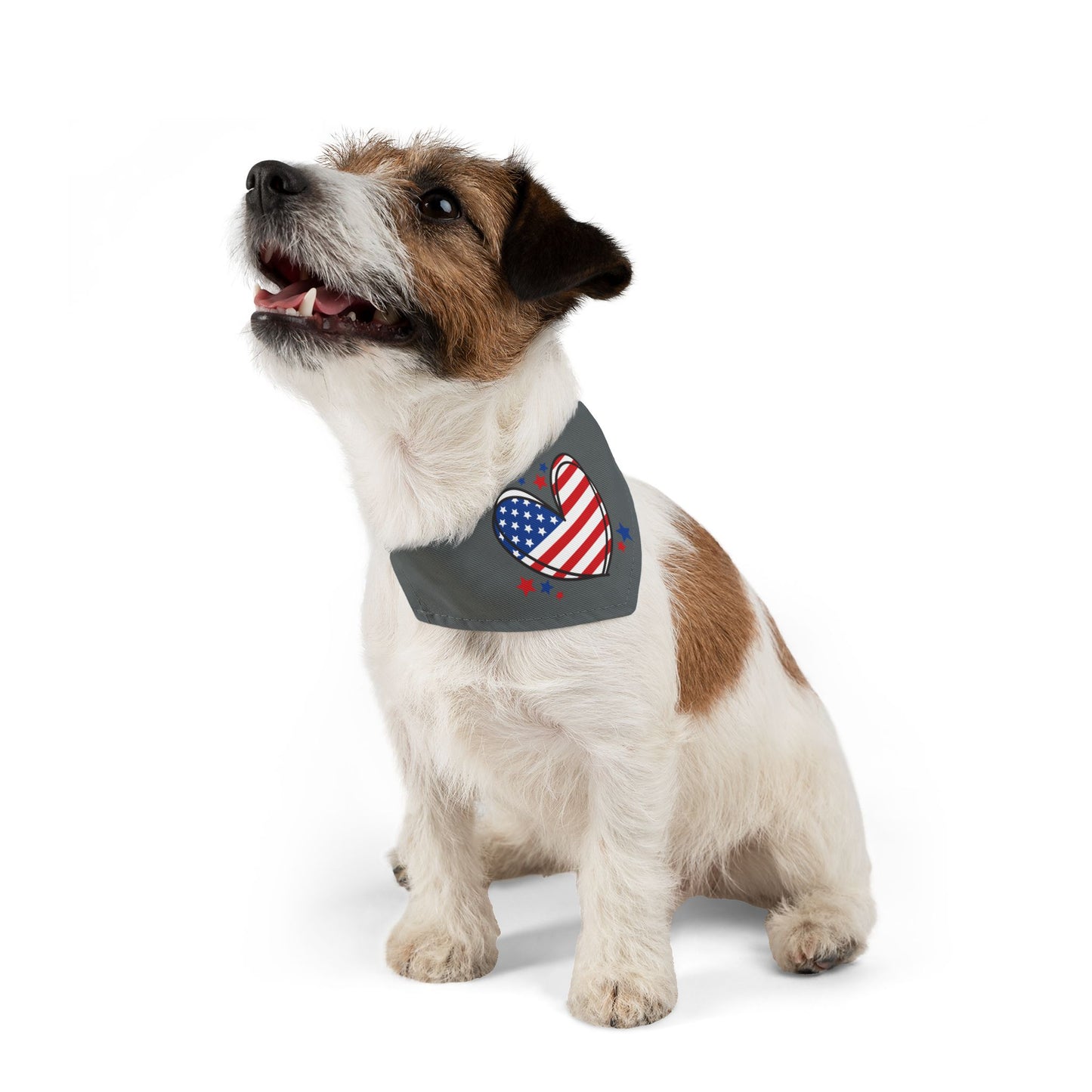 Princess Grace Patriotic Pet Bandana Collar Heart Design for Dogs