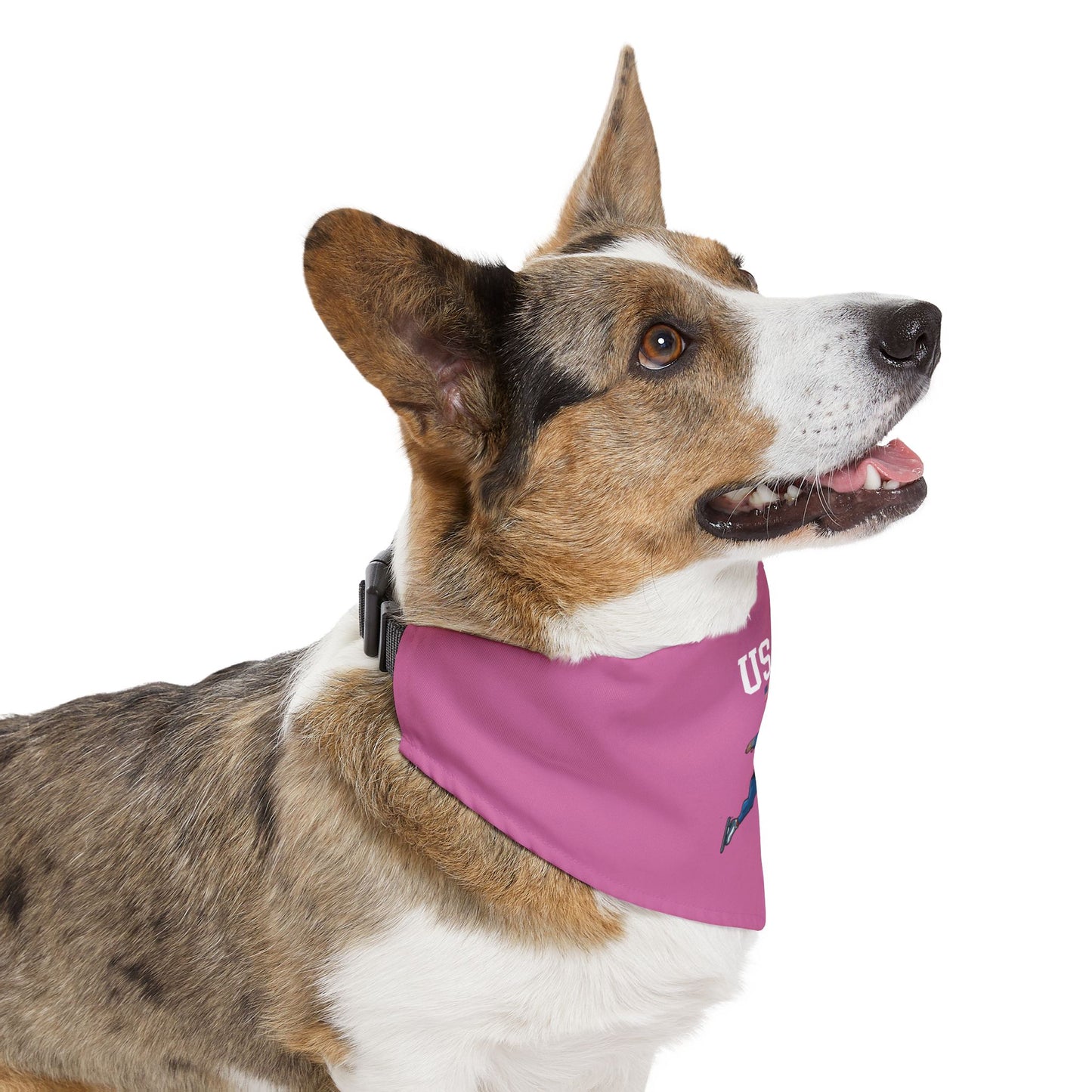 Princess Grace TEAM USA Pet Bandana Collar