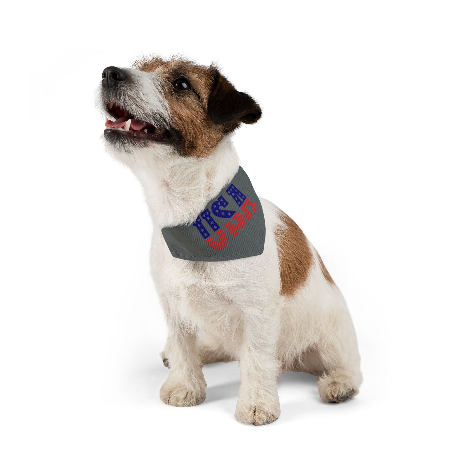 Princess Grace Patriotic Dog Bandana Collar USA Flag Design