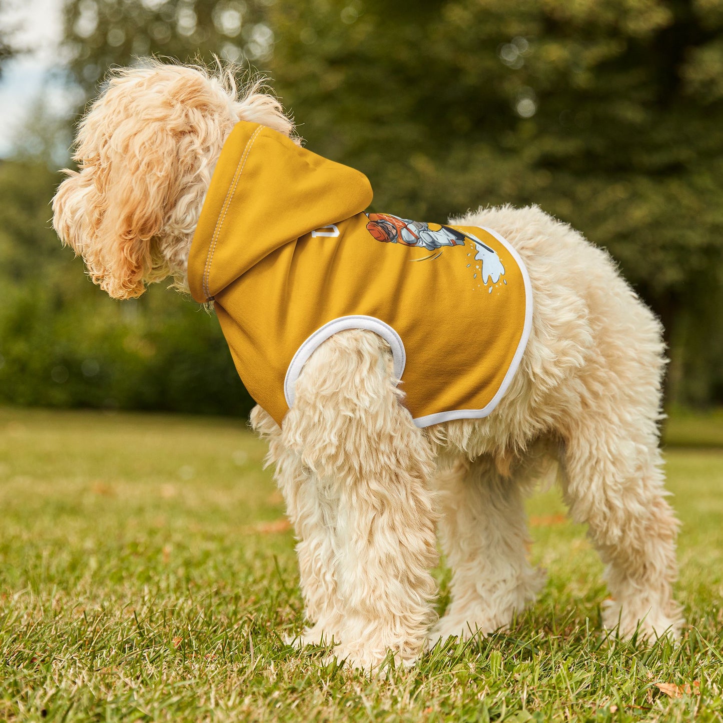 Princess Grace TEAM USA Pet Hoodie