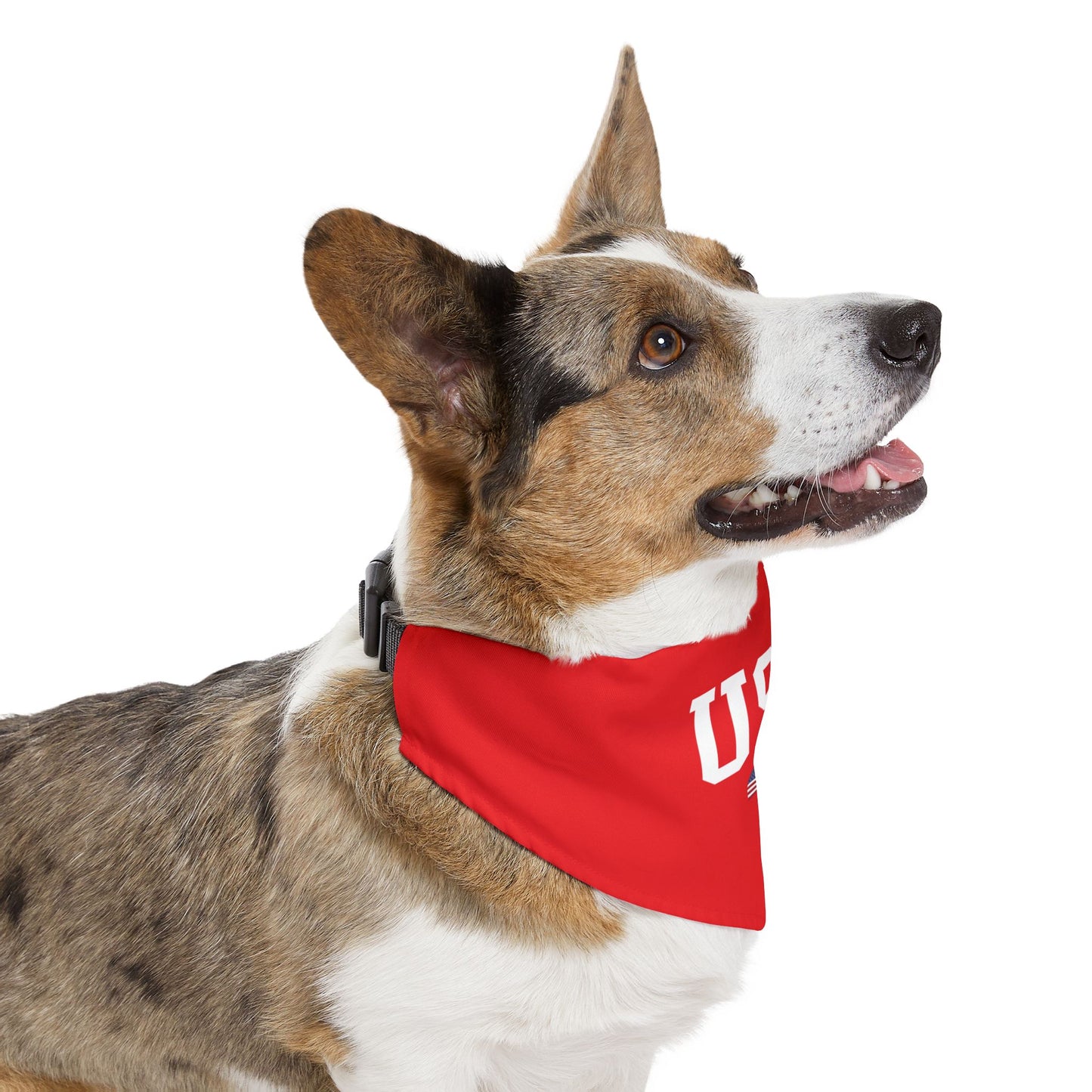 Princess Grace TEAM USA Pet Bandana Collar