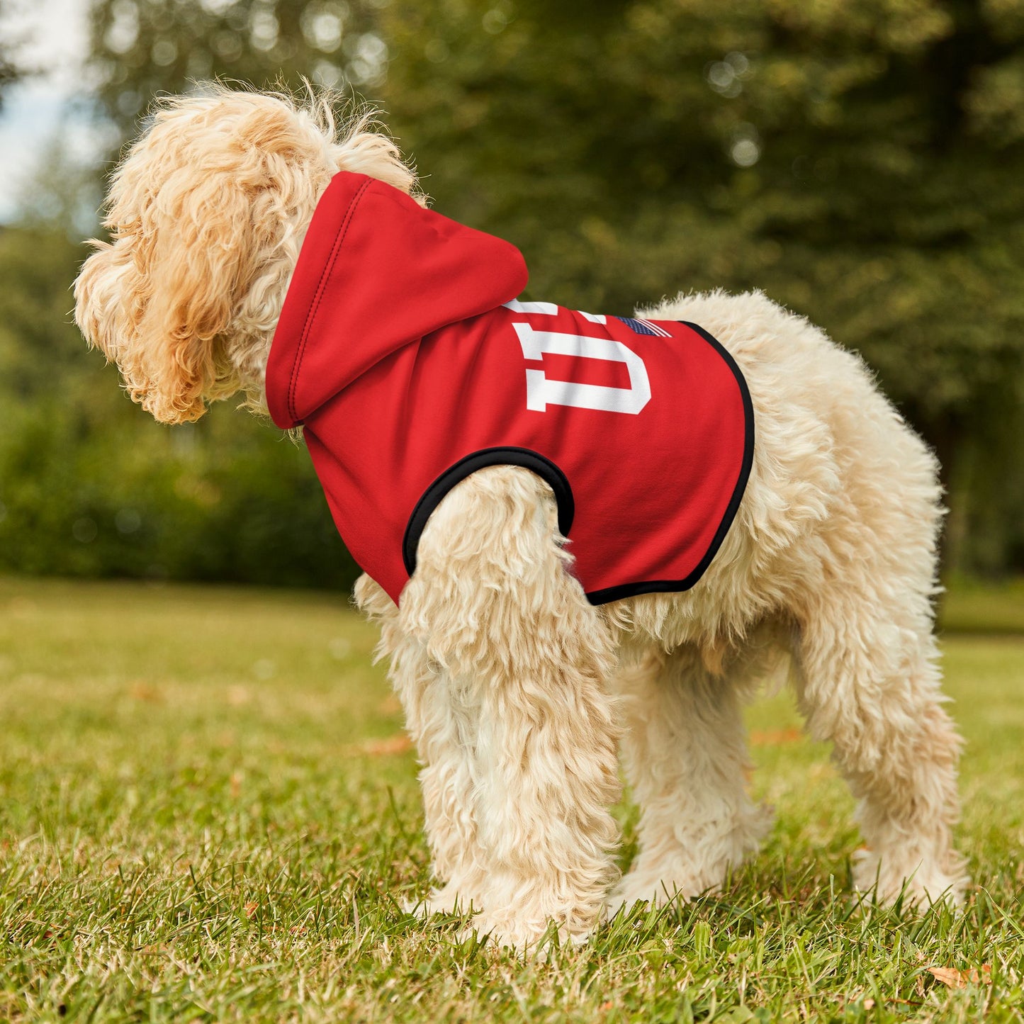 Princess Grace TEAM USA Pet Hoodie