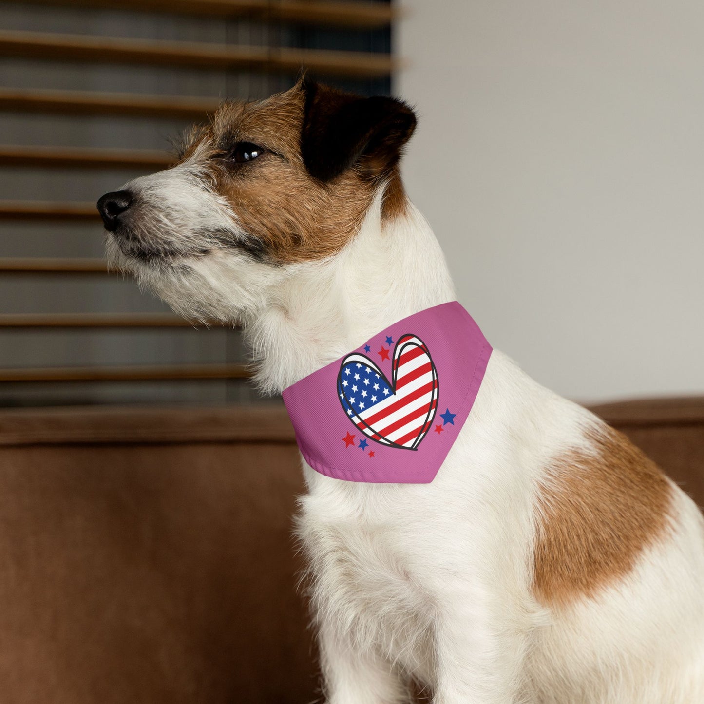 Princess Grace Patriotic Pet Bandana Collar Heart and Stars Design for Dog Lovers