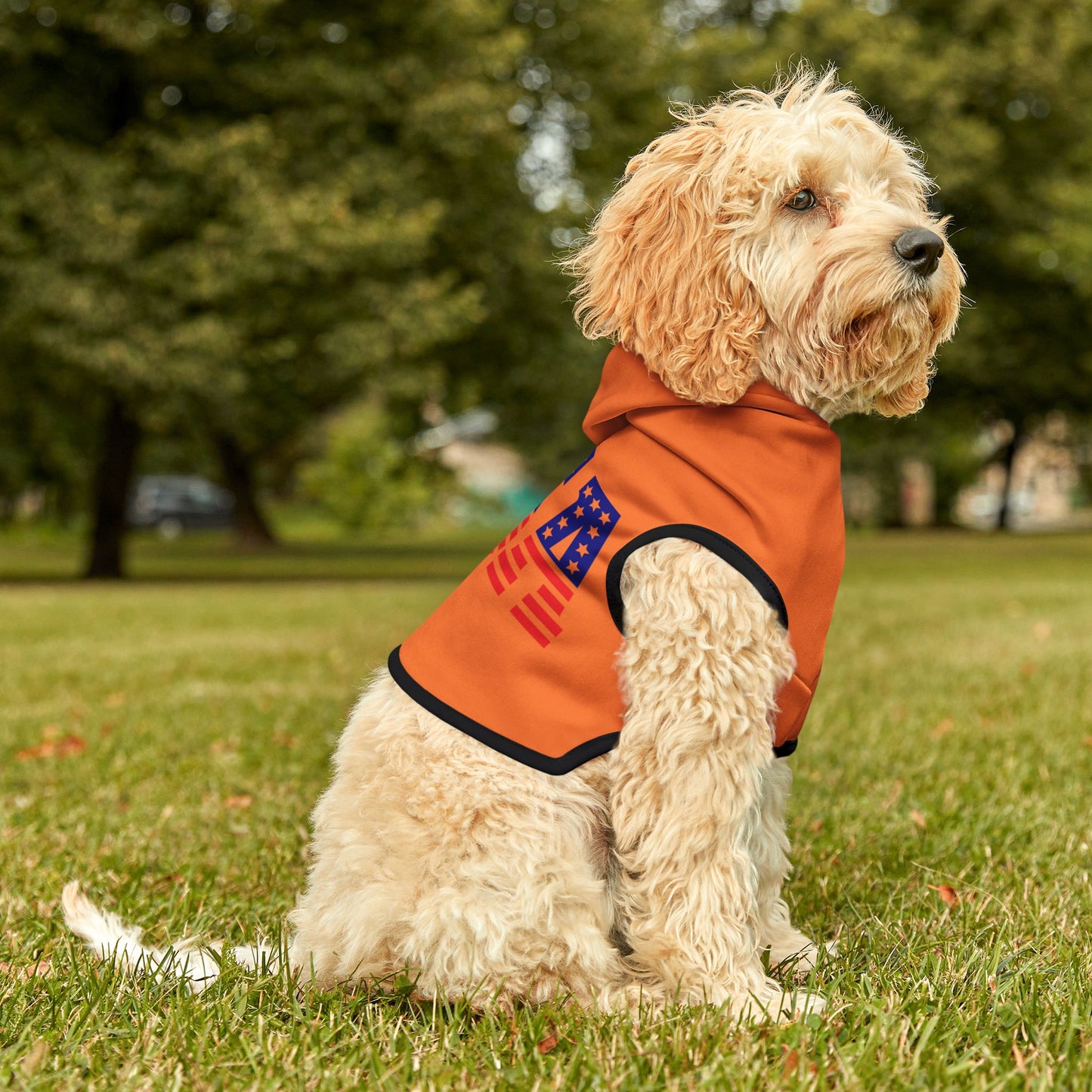 Princess Grace USA Flag Pet Hoodie Stylish & Cozy Apparel for Dogs