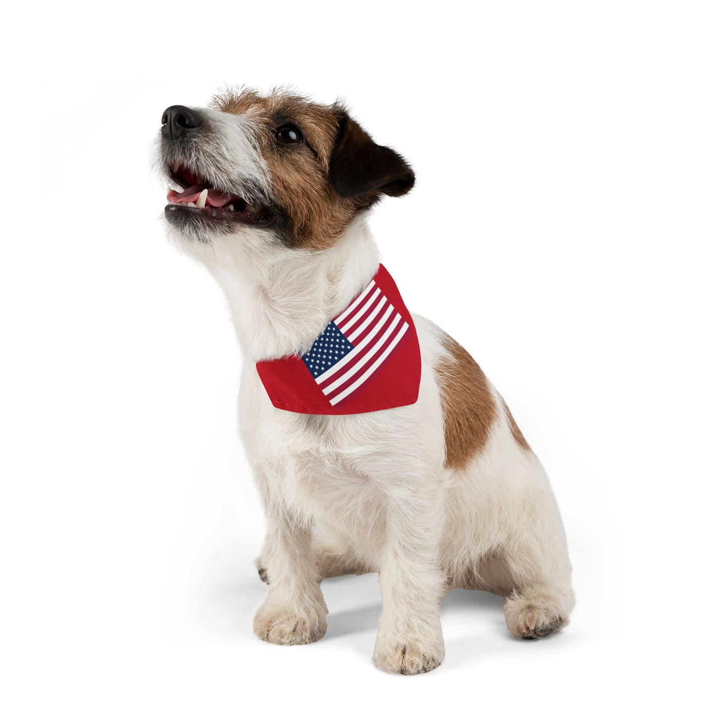 Princess Grace Patriotic Pet Bandana Collar USA Flag Design