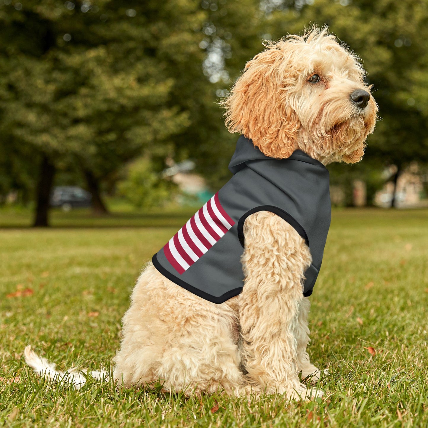 Princess Grace Patriotic Pet Hoodie Cozy American Flag Design for Stylish Dogs
