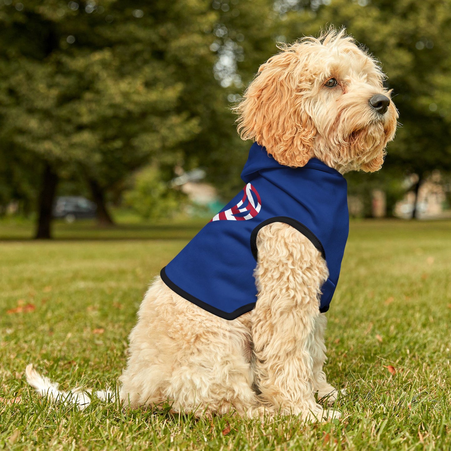 Princess Grace Patriotic Pet Hoodie Blue Heart Design for Dogs and Cats