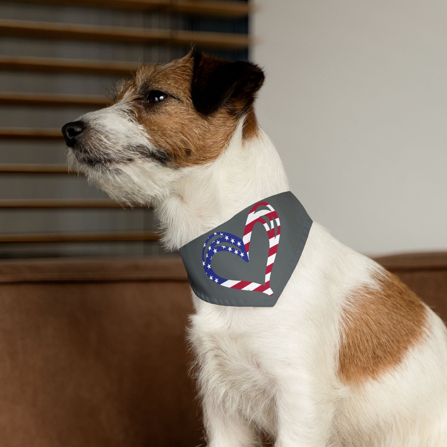 Princess Grace Patriotic Pet Bandana Collar Heart Design for Dog Lovers