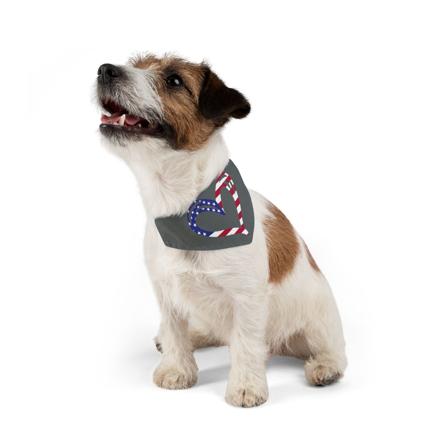 Princess Grace Patriotic Pet Bandana Collar Heart Design for Dog Lovers