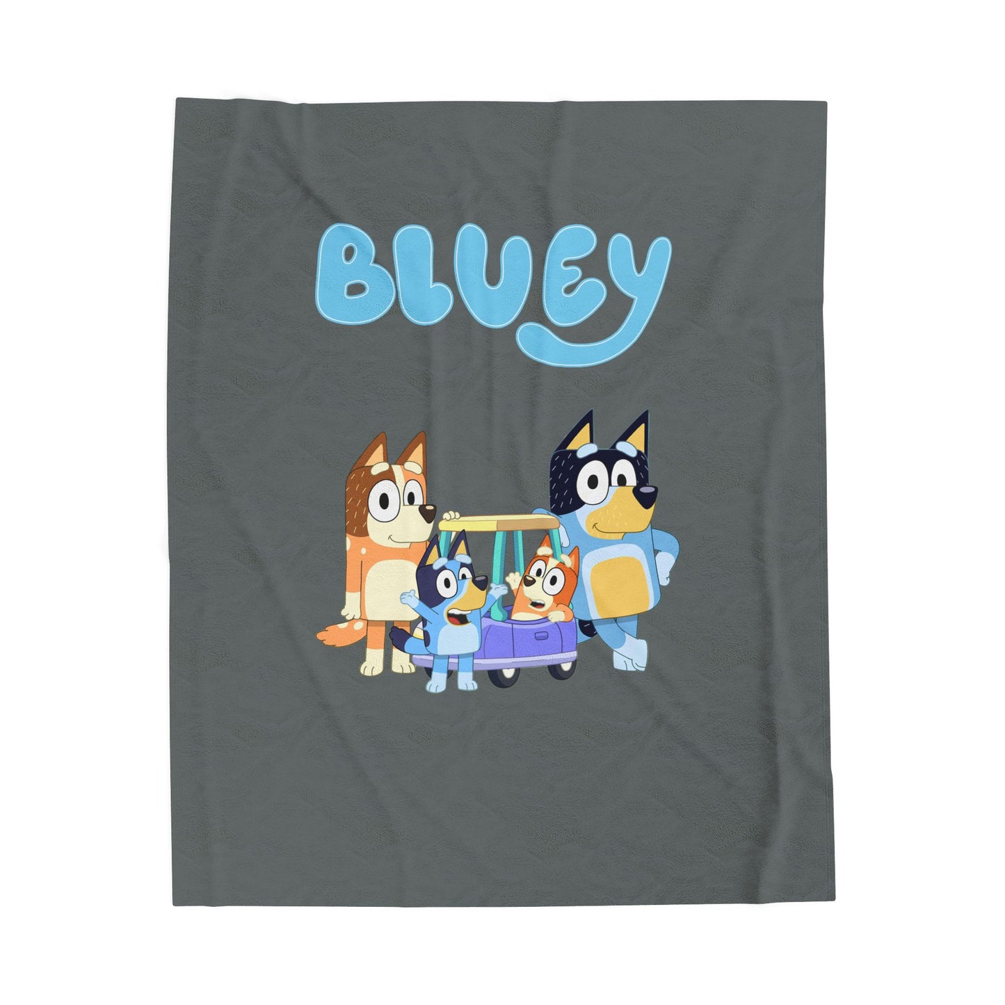 Princess Grace Bluey Velveteen Plush Blanket for Kids Cozy & Fun Throw for Blanket Forts and Storytime
