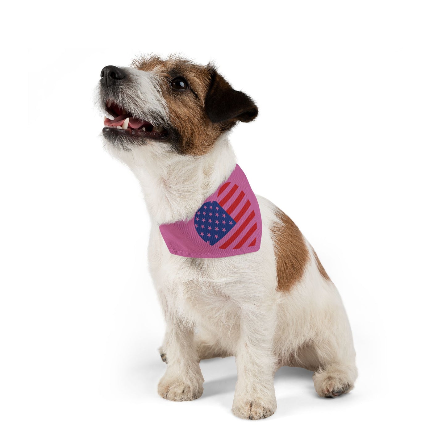 Princess Grace Patriotic Pet Bandana Collar Heart Design for Dogs