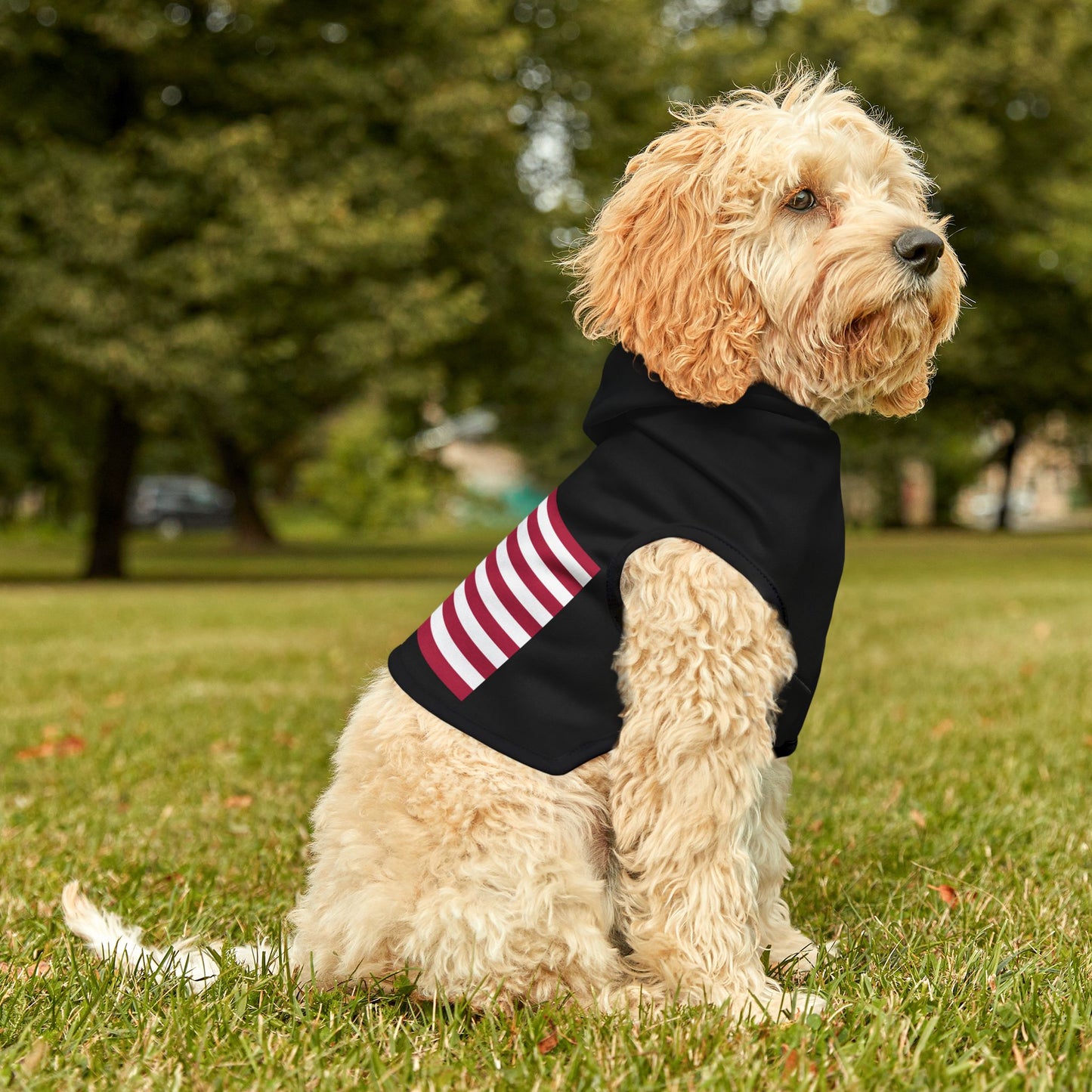 Princess Grace Patriotic Pet Hoodie American Flag Design for Stylish Pups